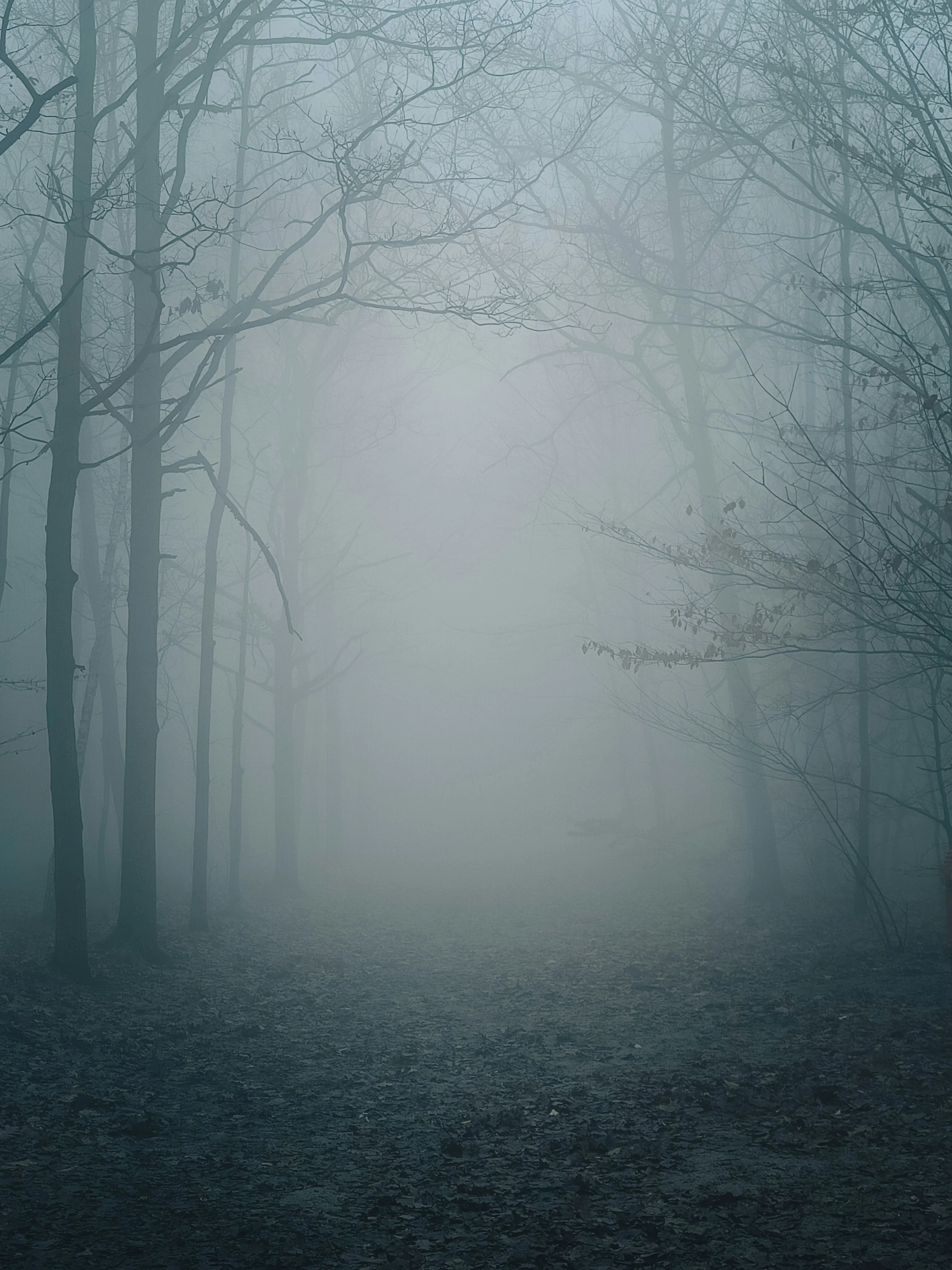 Vom Zweifel zum Glauben