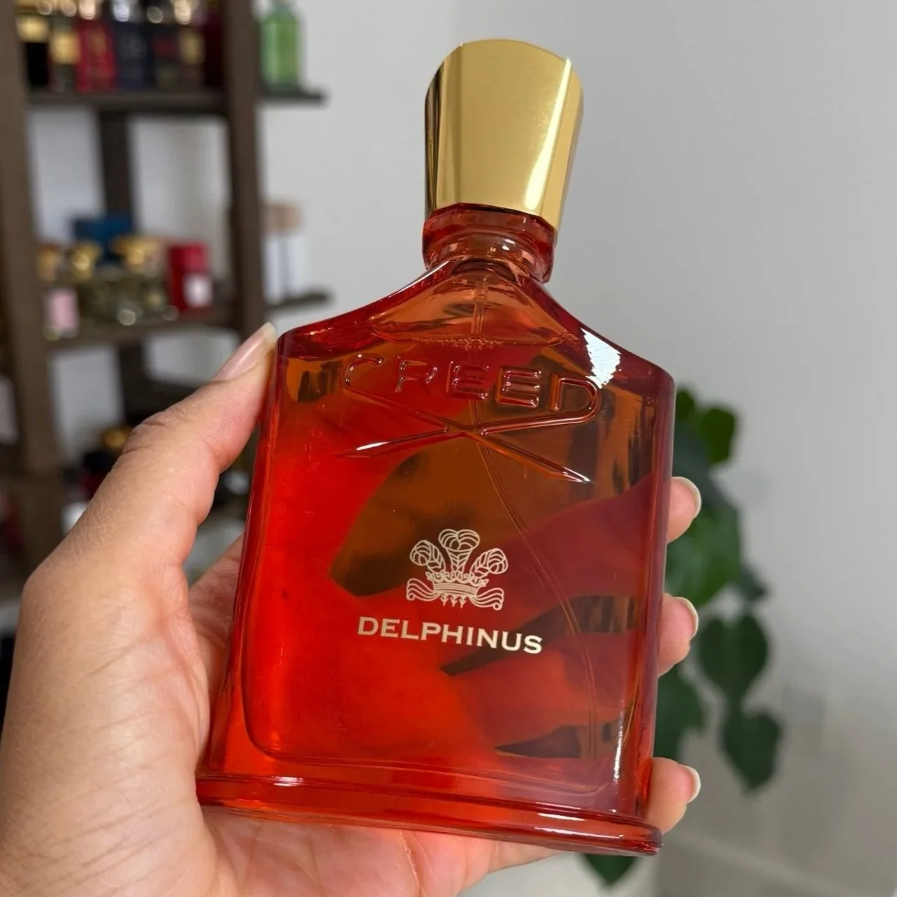 Creed Delphinus 100ml