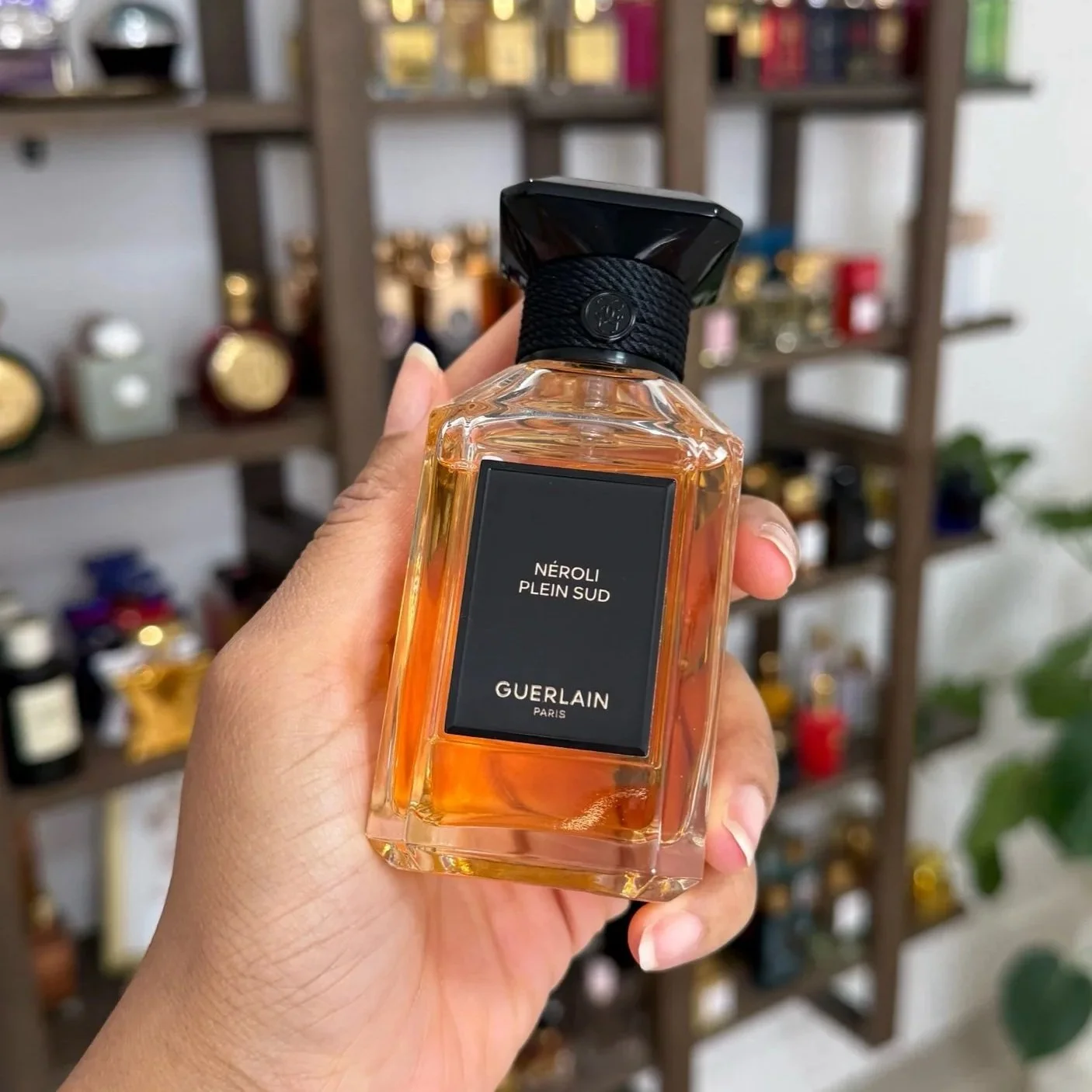 Guerlain Neroli Plein Sud - 100ml/3.3fl oz