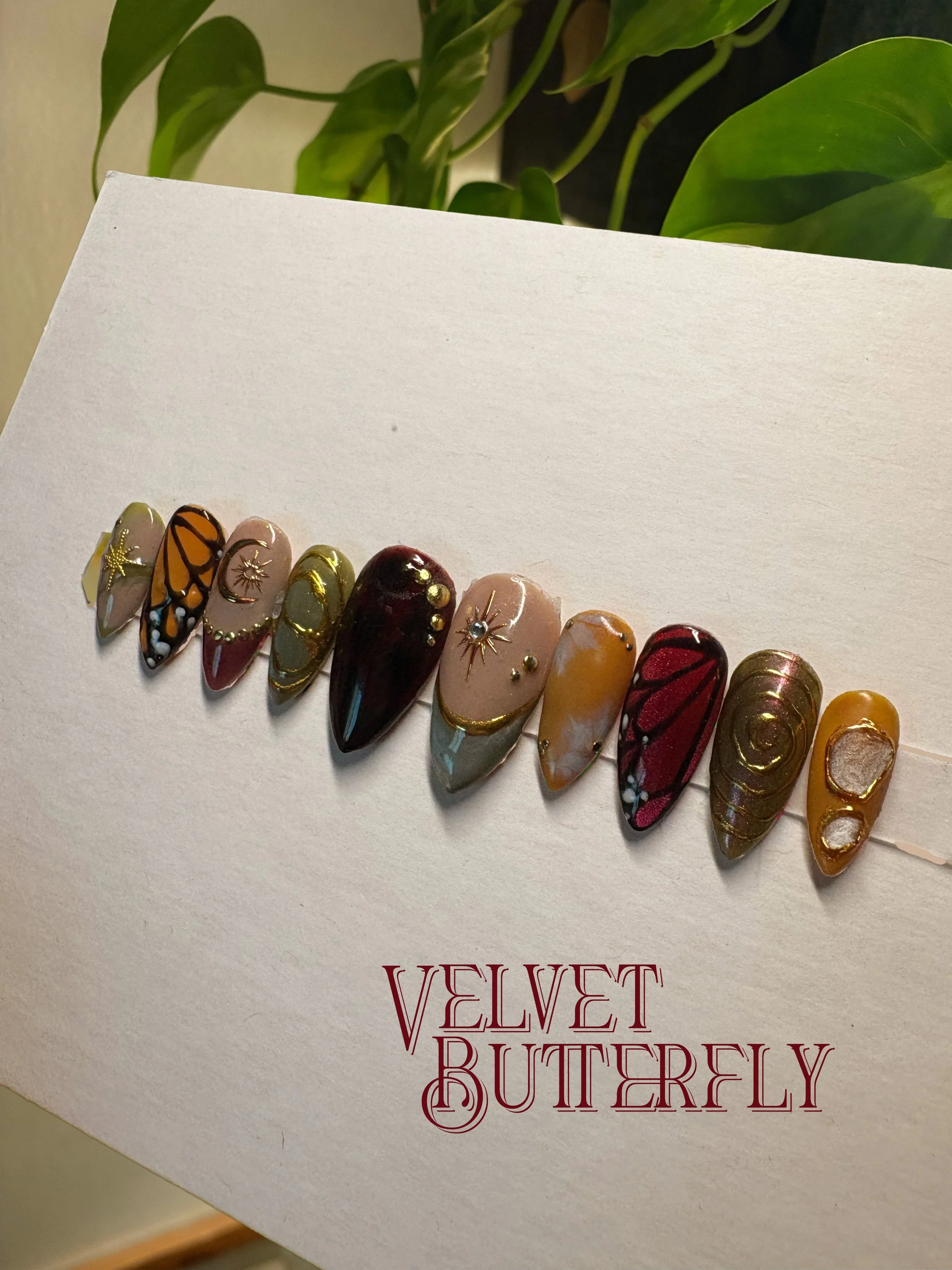 VelvetButterflytitle.jpg