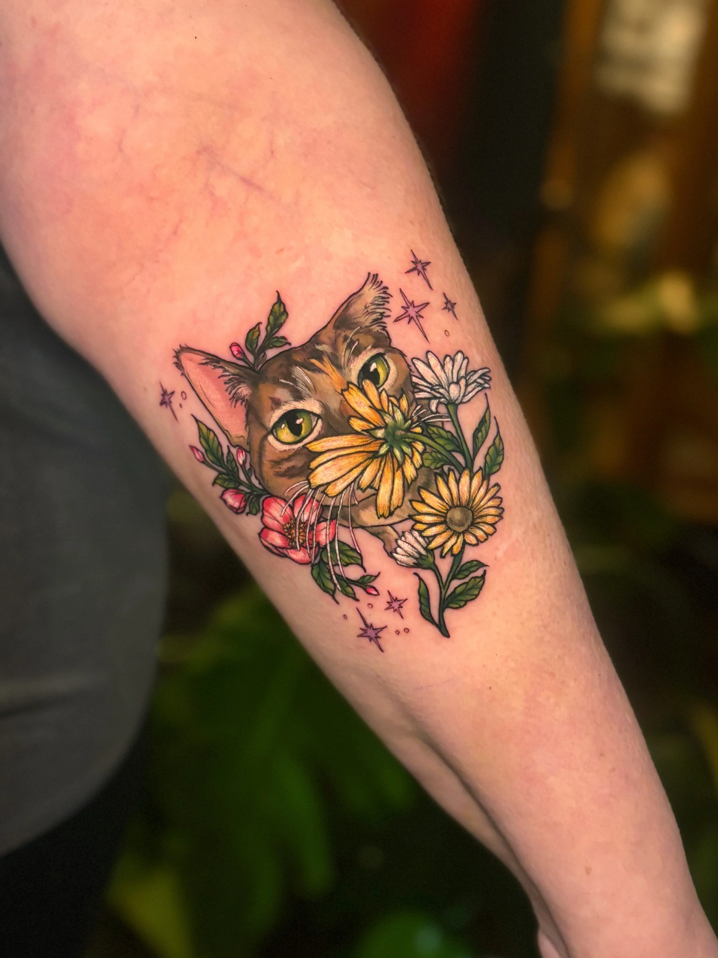 Cat Portrait - Bridget