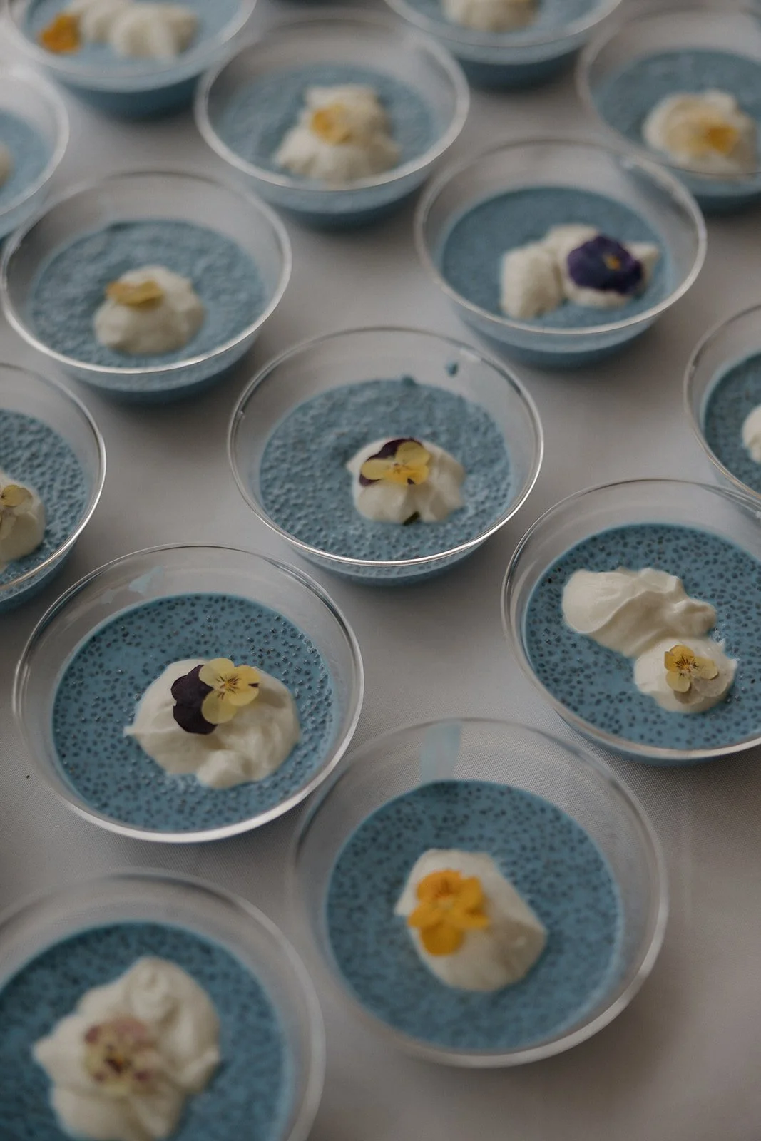 Blue Chia Seed Pudding Bowls