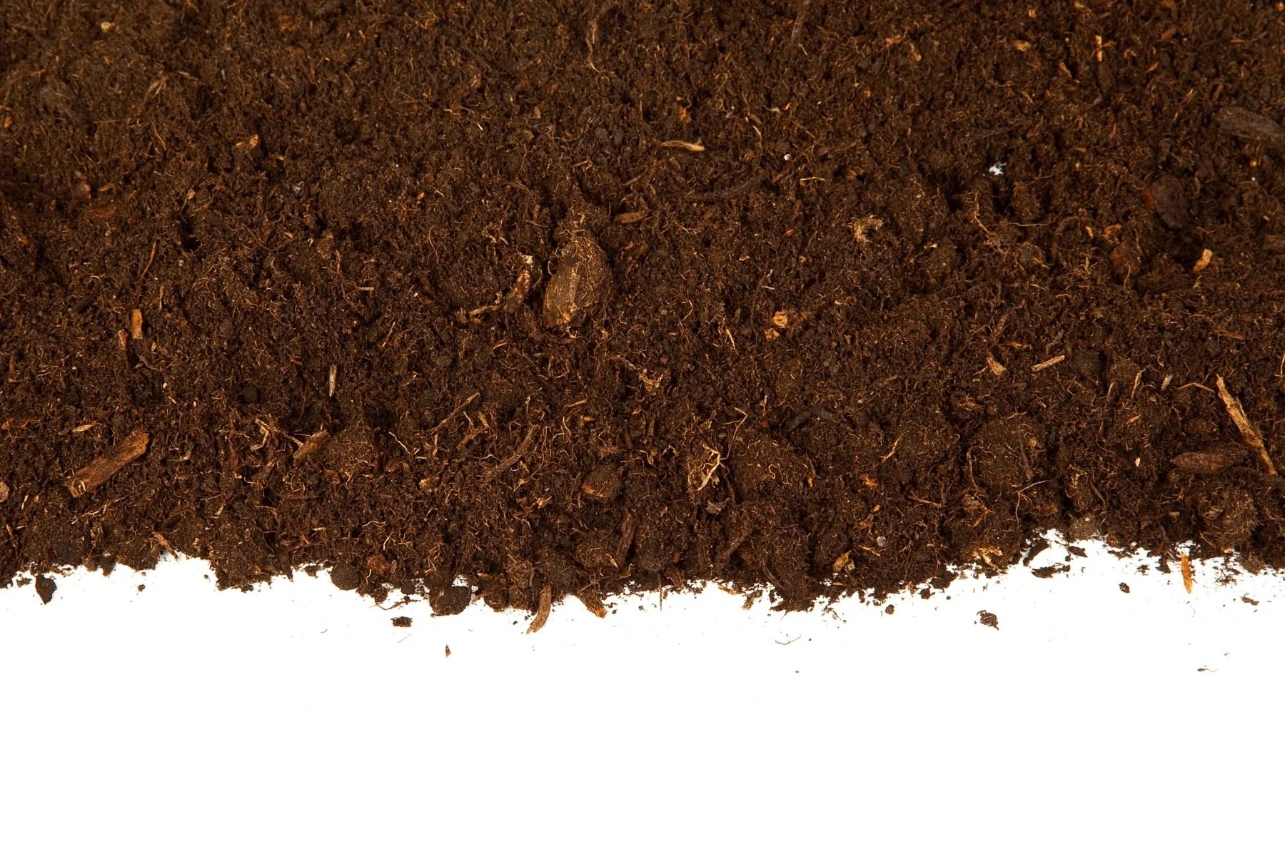 All you can see is dirt