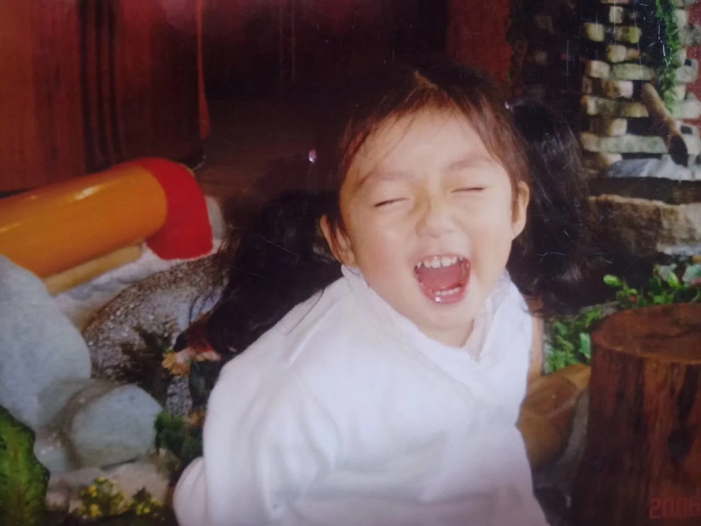 Paper Tiger （紙老虎）