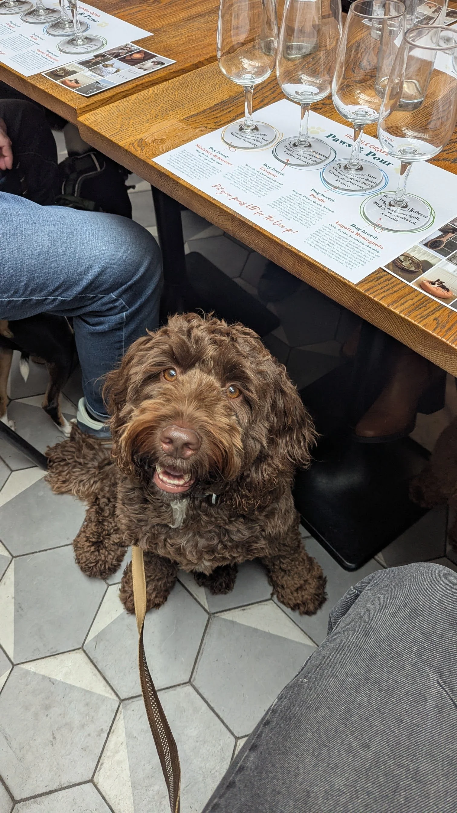 Paw and Pours, N1