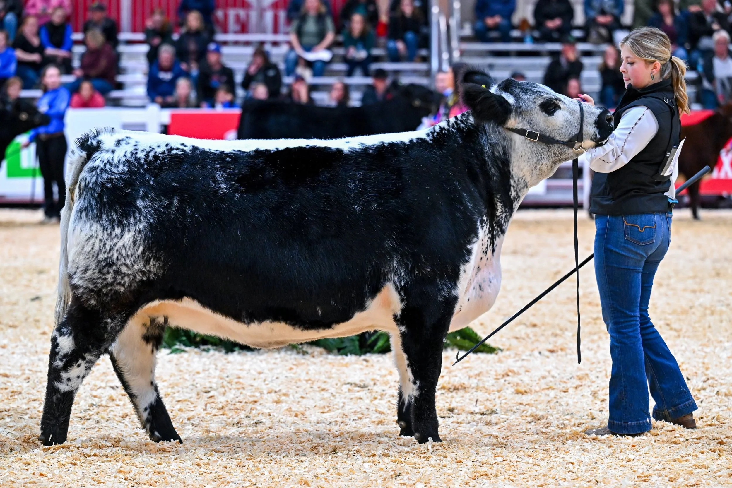 Crushed Can Daughter Martinstar Loofa