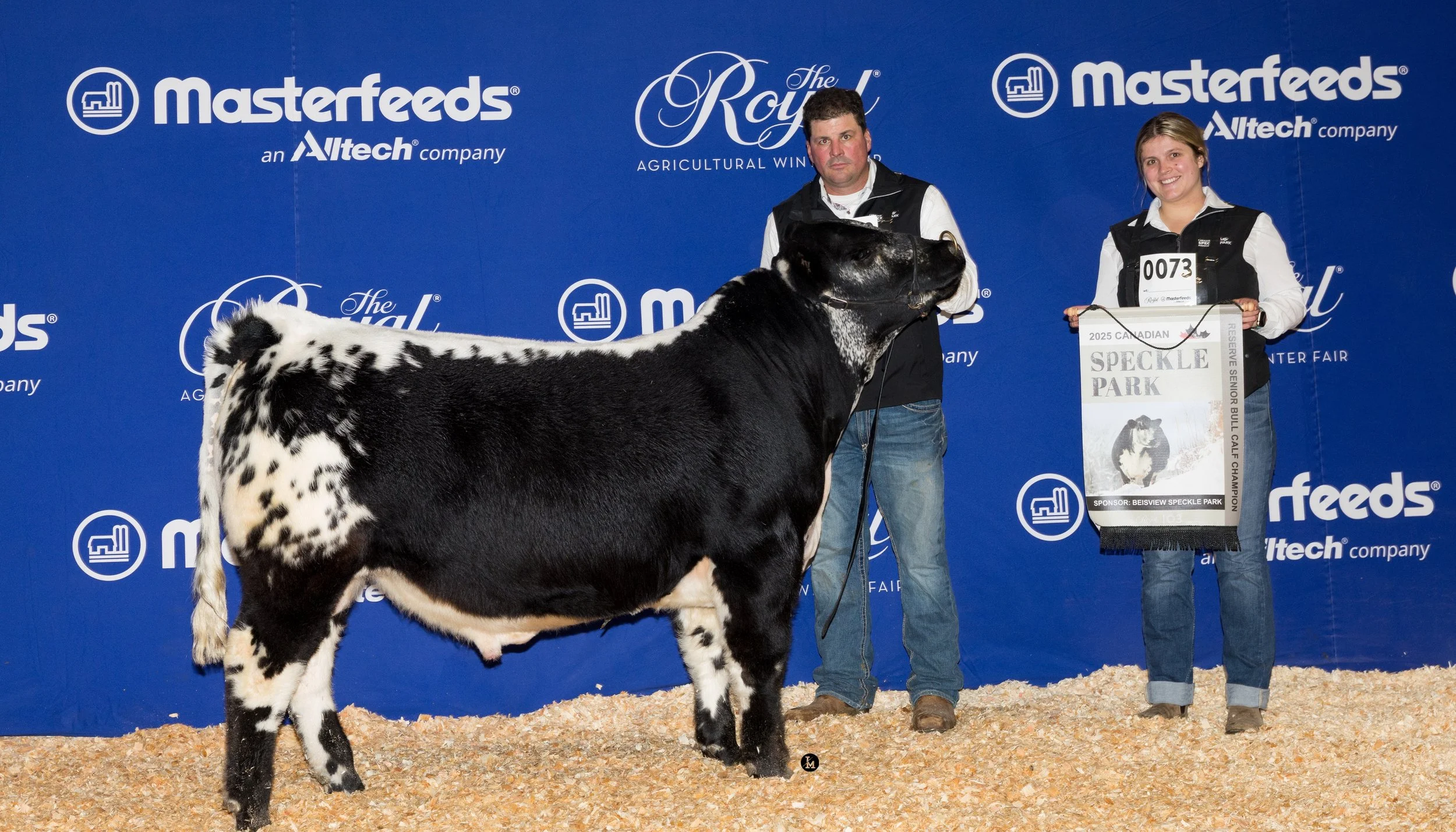 Reserve Senior Bull Calf Champion RAWF ‘25