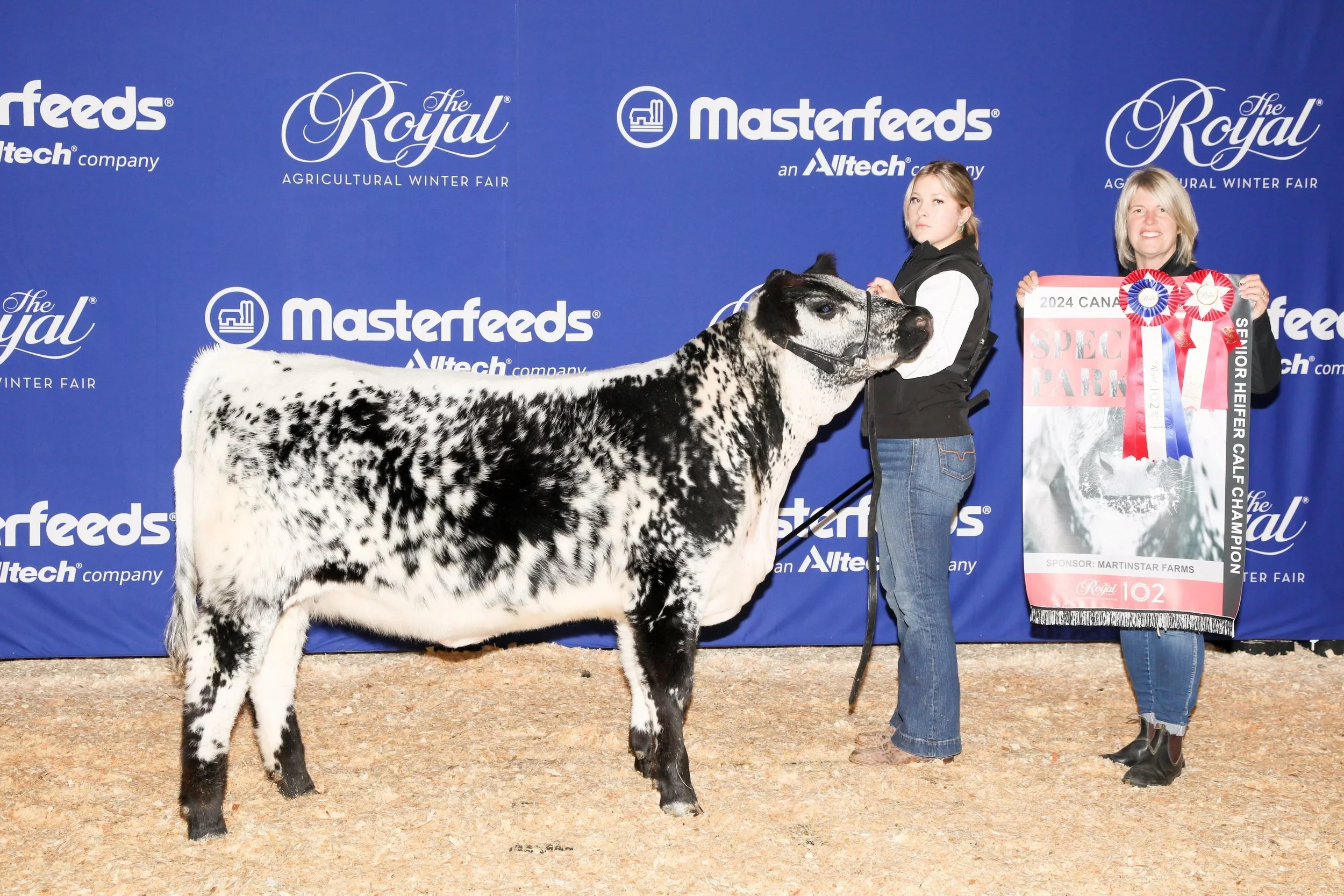 Senior Heifer Calf Champion RAWF 2023 