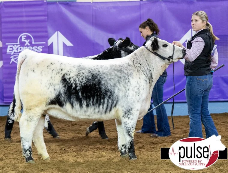 Martinstar Margarita OKC 2025