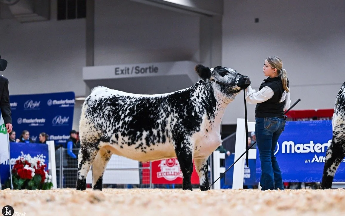 Martinstar Mardi Gras 1M Future Donor