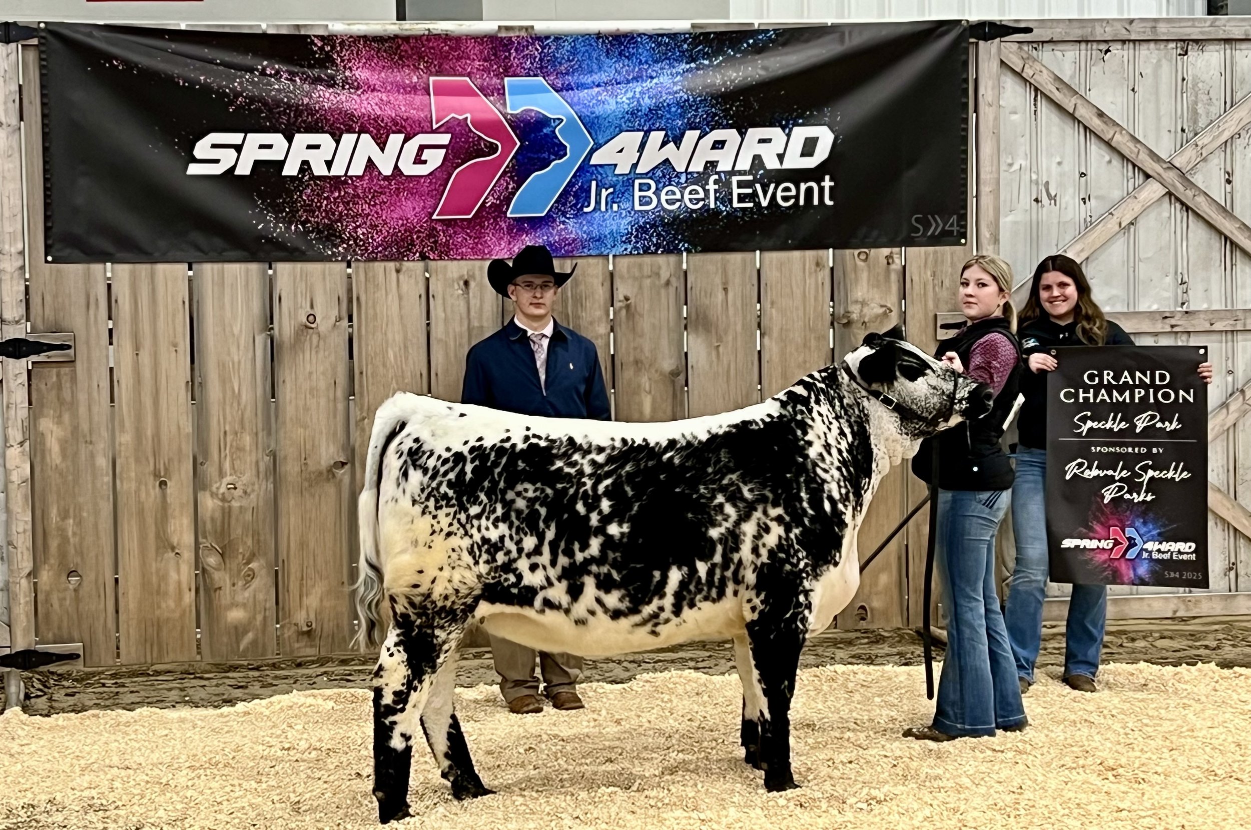 Grand Champion Speckle Park Spring 4 Ward 2025