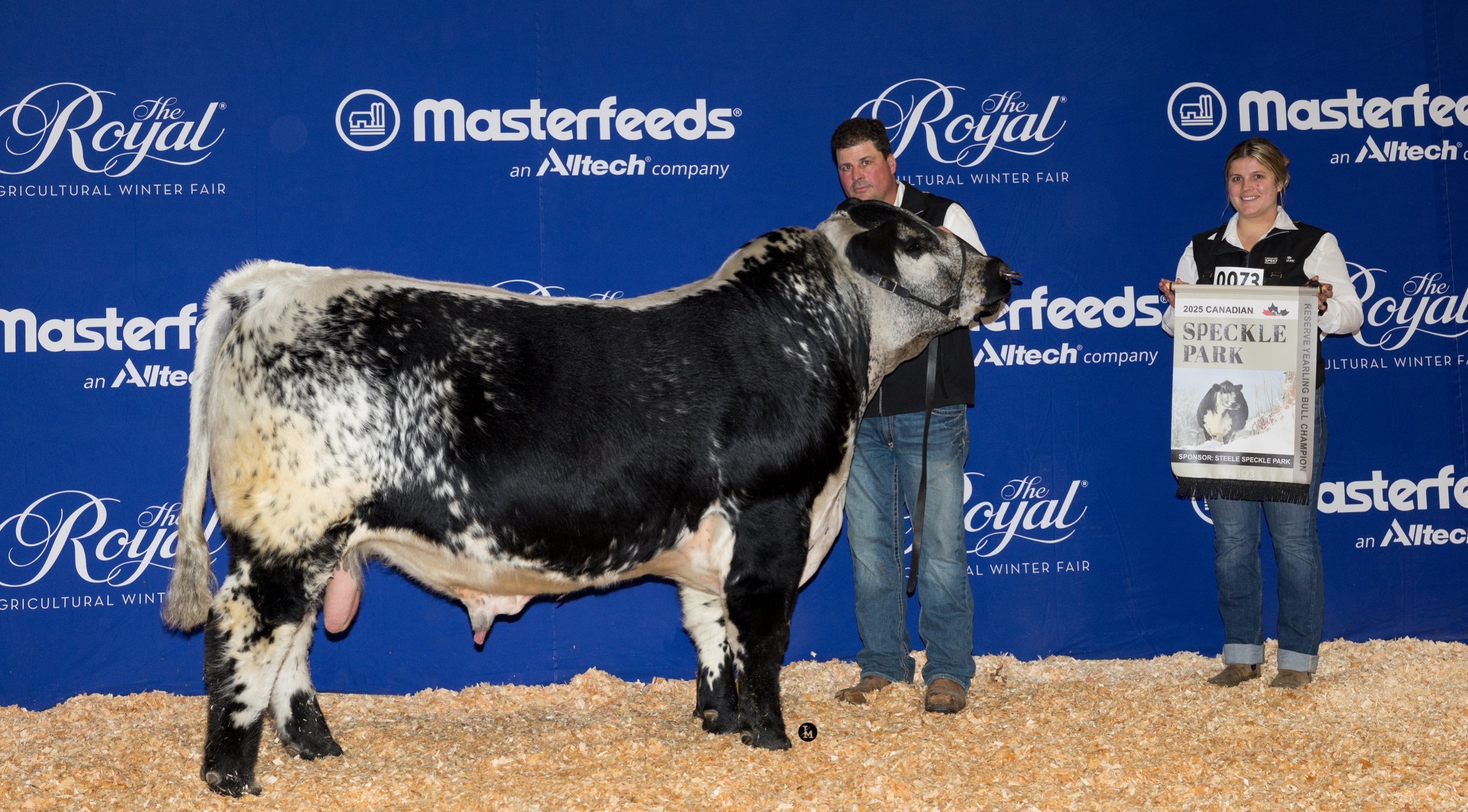 Reserve Champion Yearling Bull RAWF 2025 