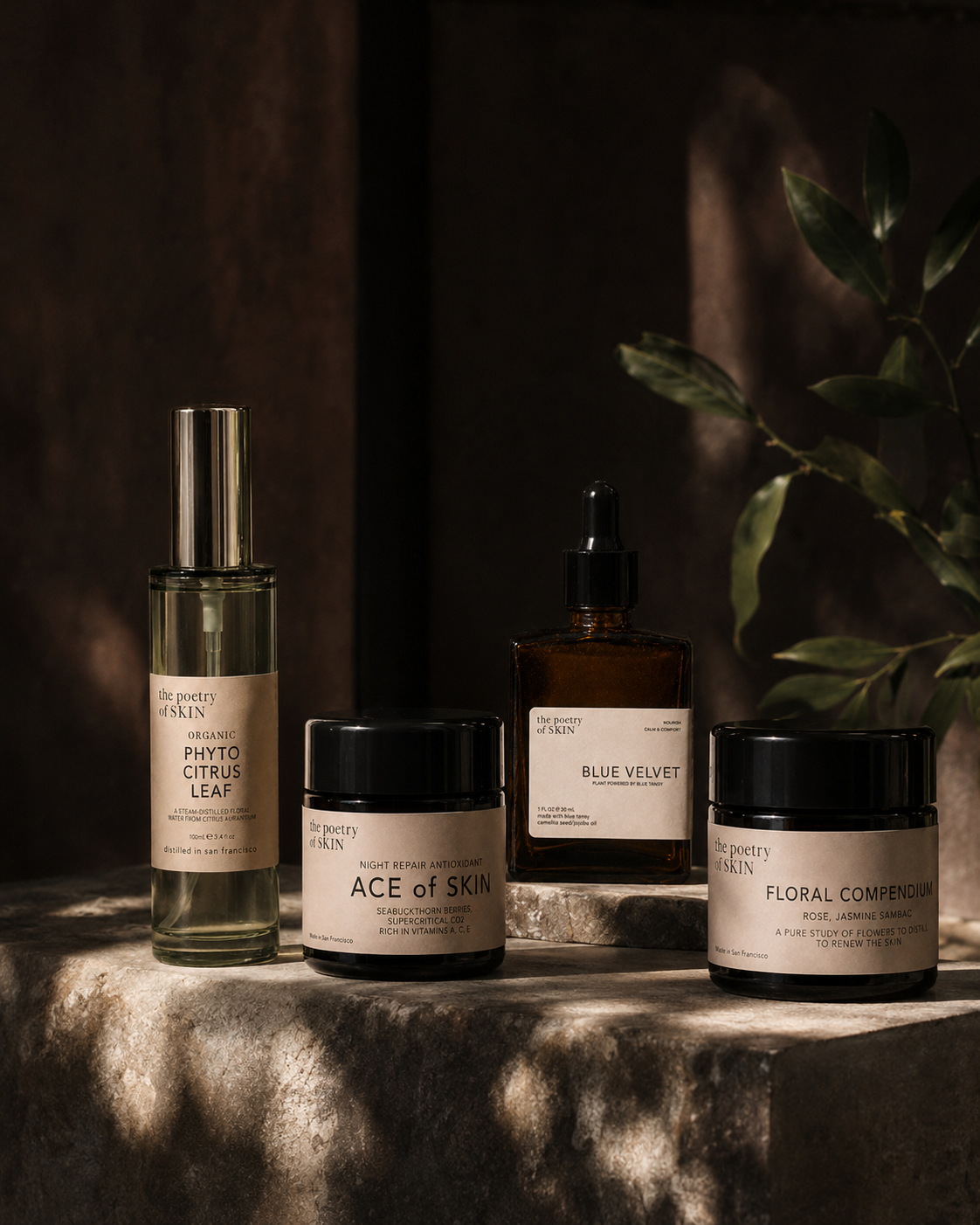 Various skincare products on a stone surface with a dark background and green leaves.