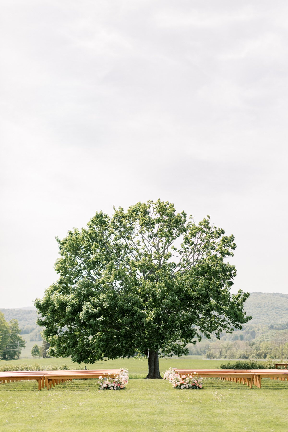 Lion+Rock+Farm+Wedding95.jpg