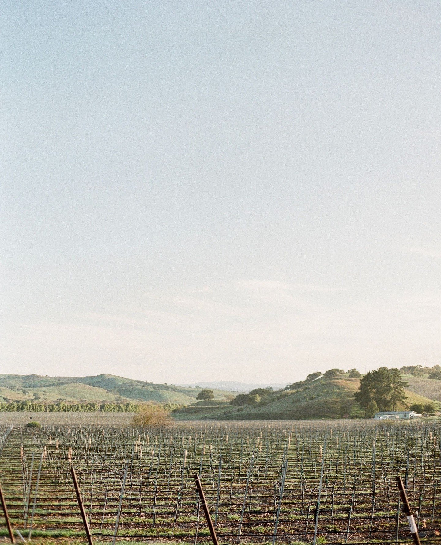 wishing I was staring at the peaceful hills of los alamos this morning ☀️ today is feeling  v e r y  chaotic as I prep for a conference this weekend.  being on the planning side of things gives me ALL the appreciation for wedding planners!