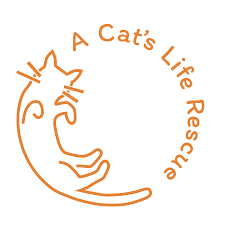 Cat Adoption Popup - Brookland