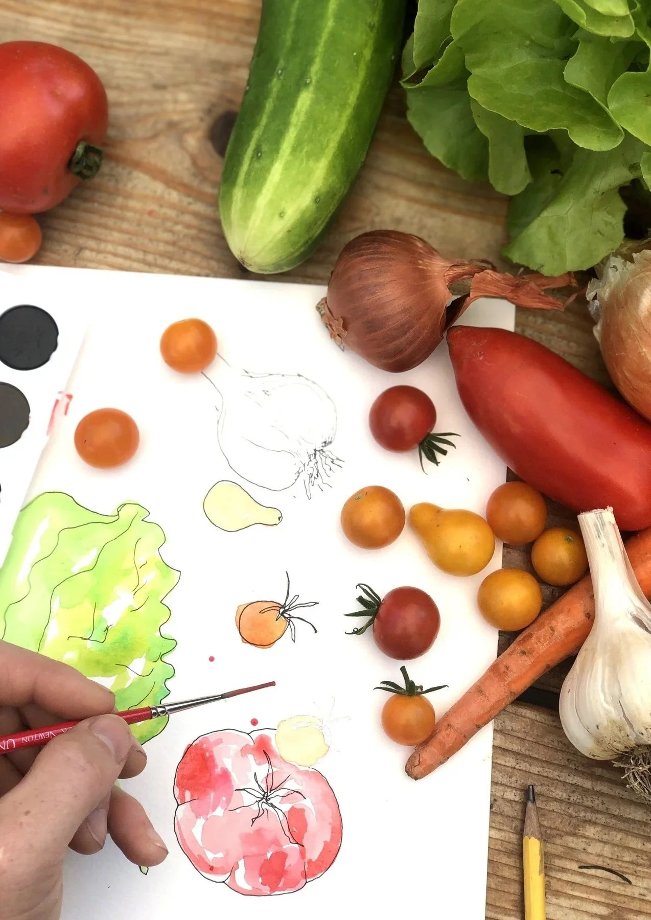 Garden Harvest Watercolor Workshop - Kitchen 