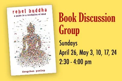 Rebel Buddha - A Guide to a Revolution of Mind