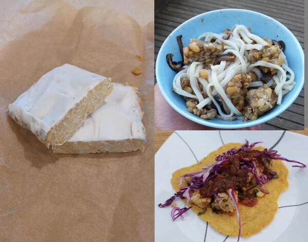 Tempeh Making