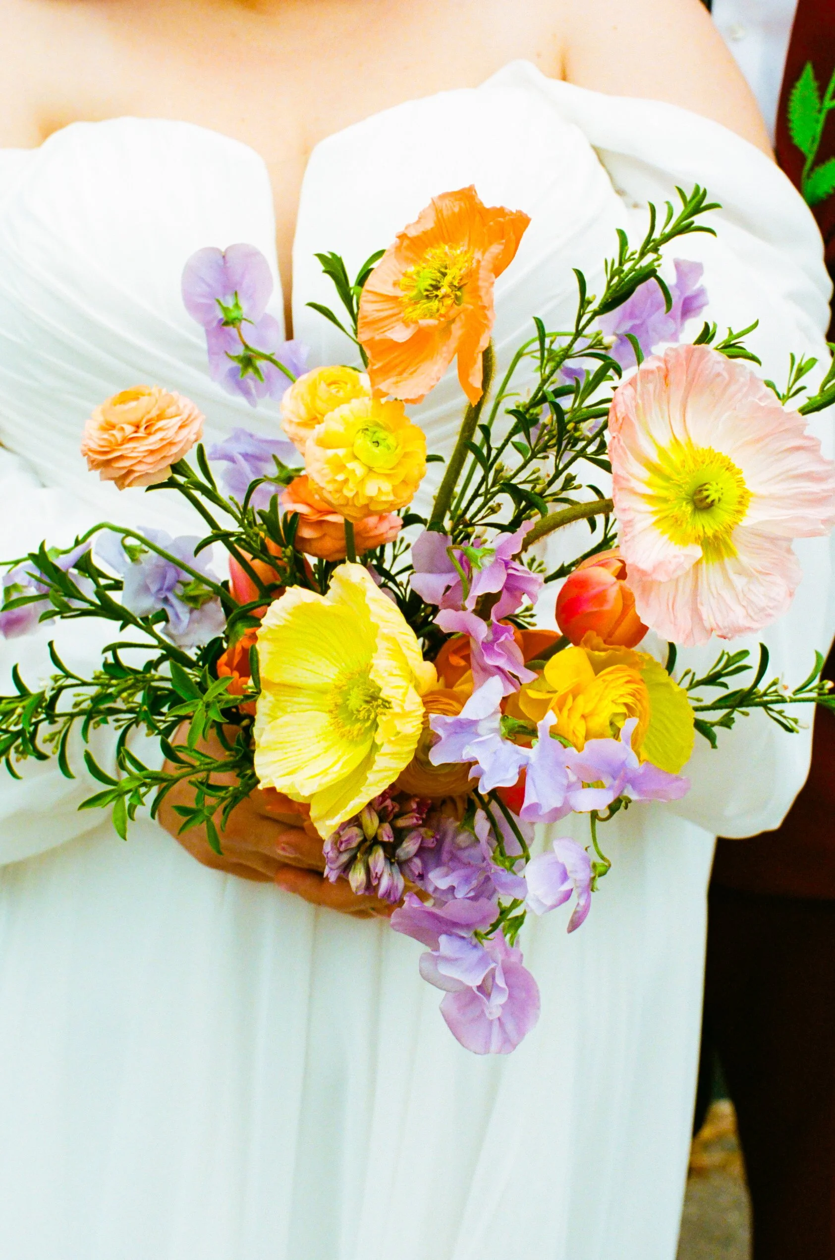 Image by Nylon Saddle