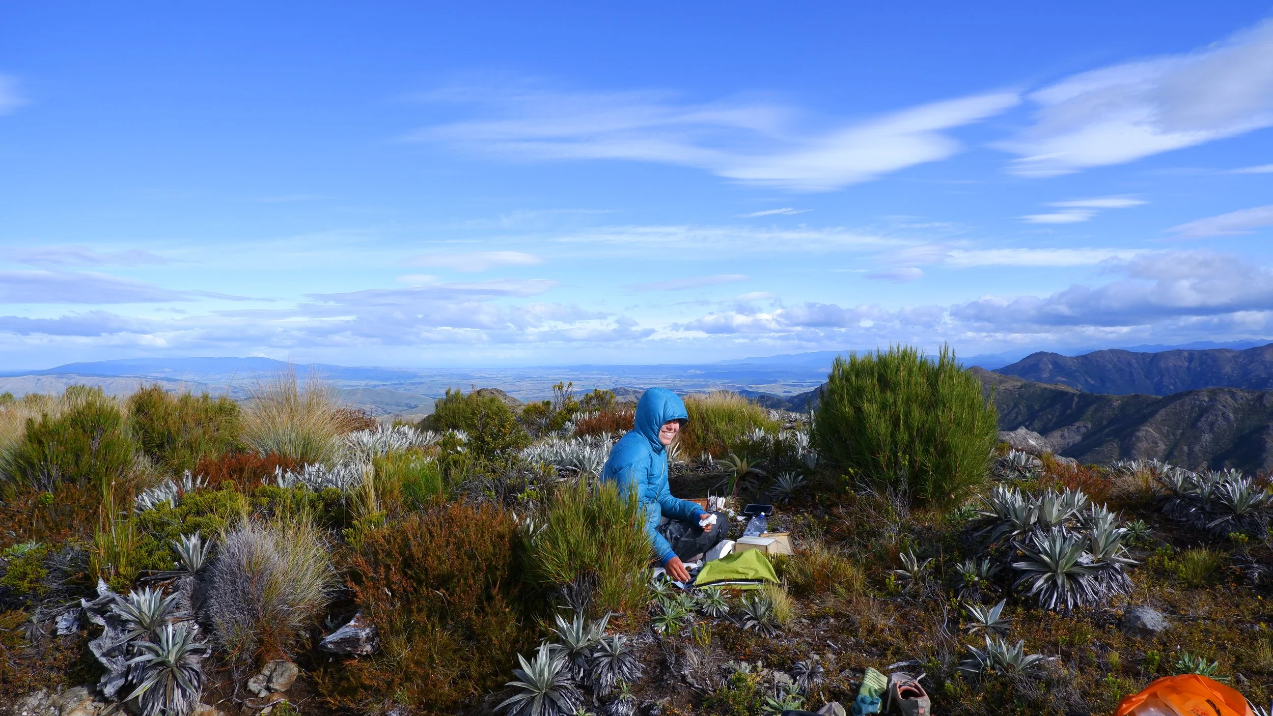  Painting on trail - Southland 