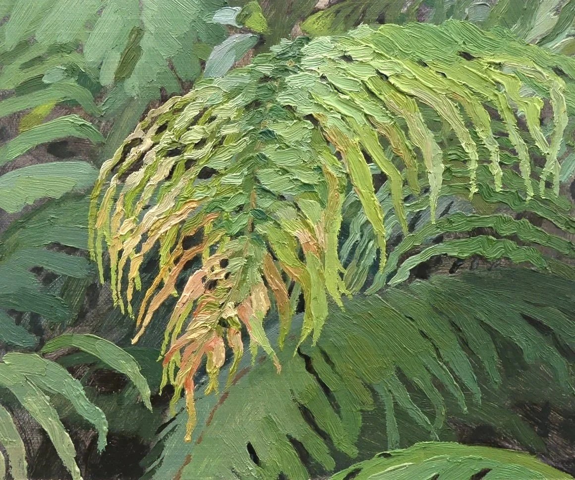 A year living beside Westland Tai Poutini National Park. Painted from life in the rainforest, often in the rain. And sometimes whilst sitting up a tree (Copy)