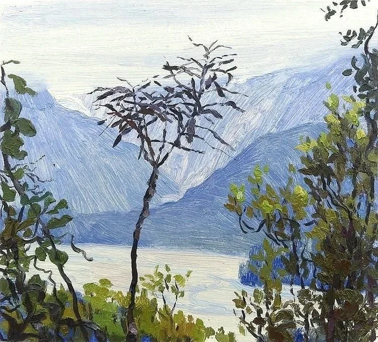 Horoeka (Lancewood) and Franz Josef Glacier
