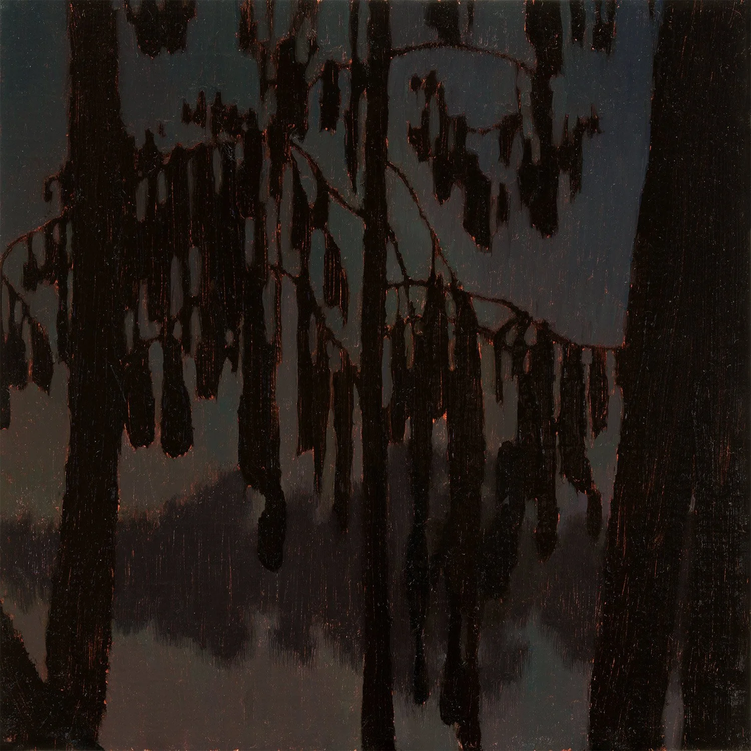 Rimu, dripping into the night (Series, 3 of 3)