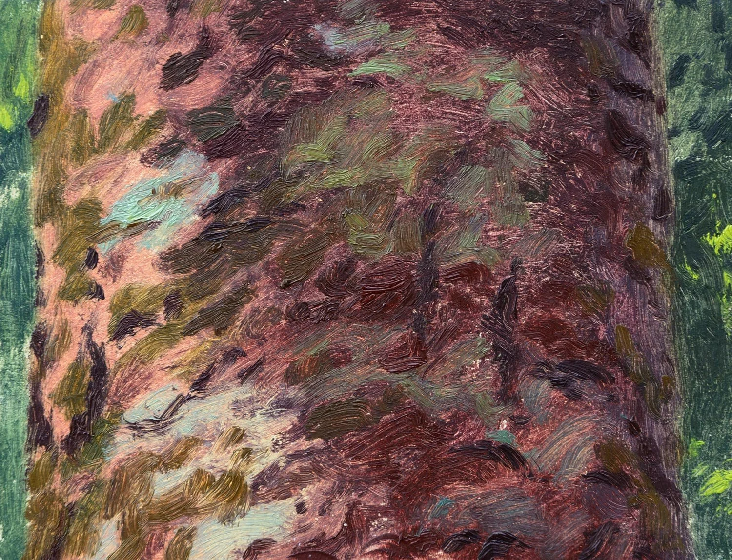 Kauri trunk