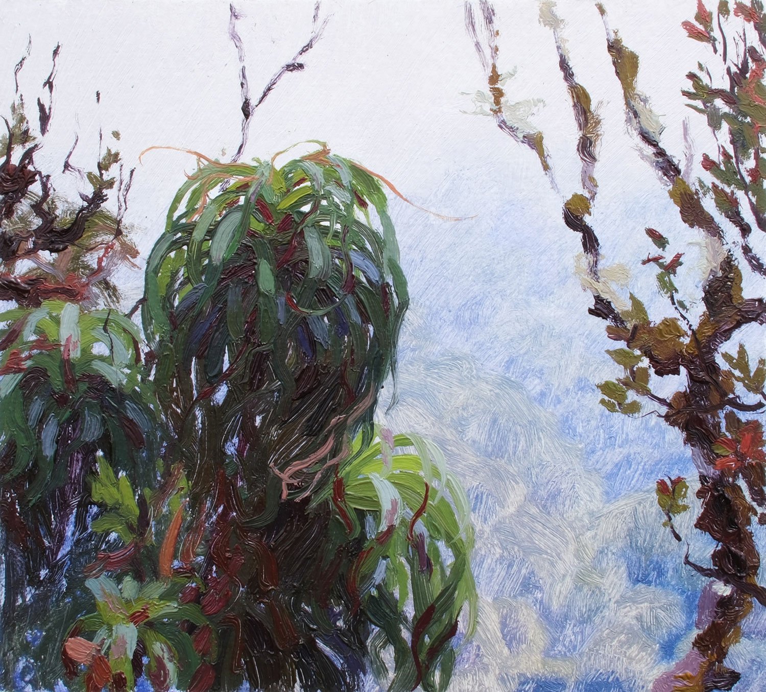 Neinei, up in the cloud forest