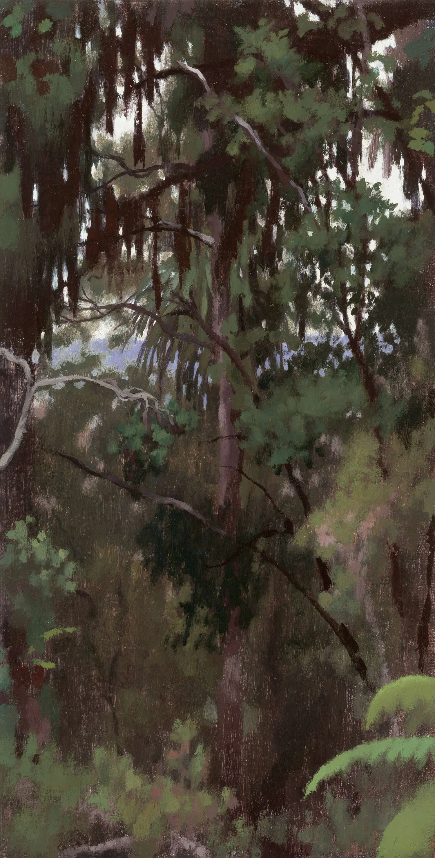 Dense Rainforest