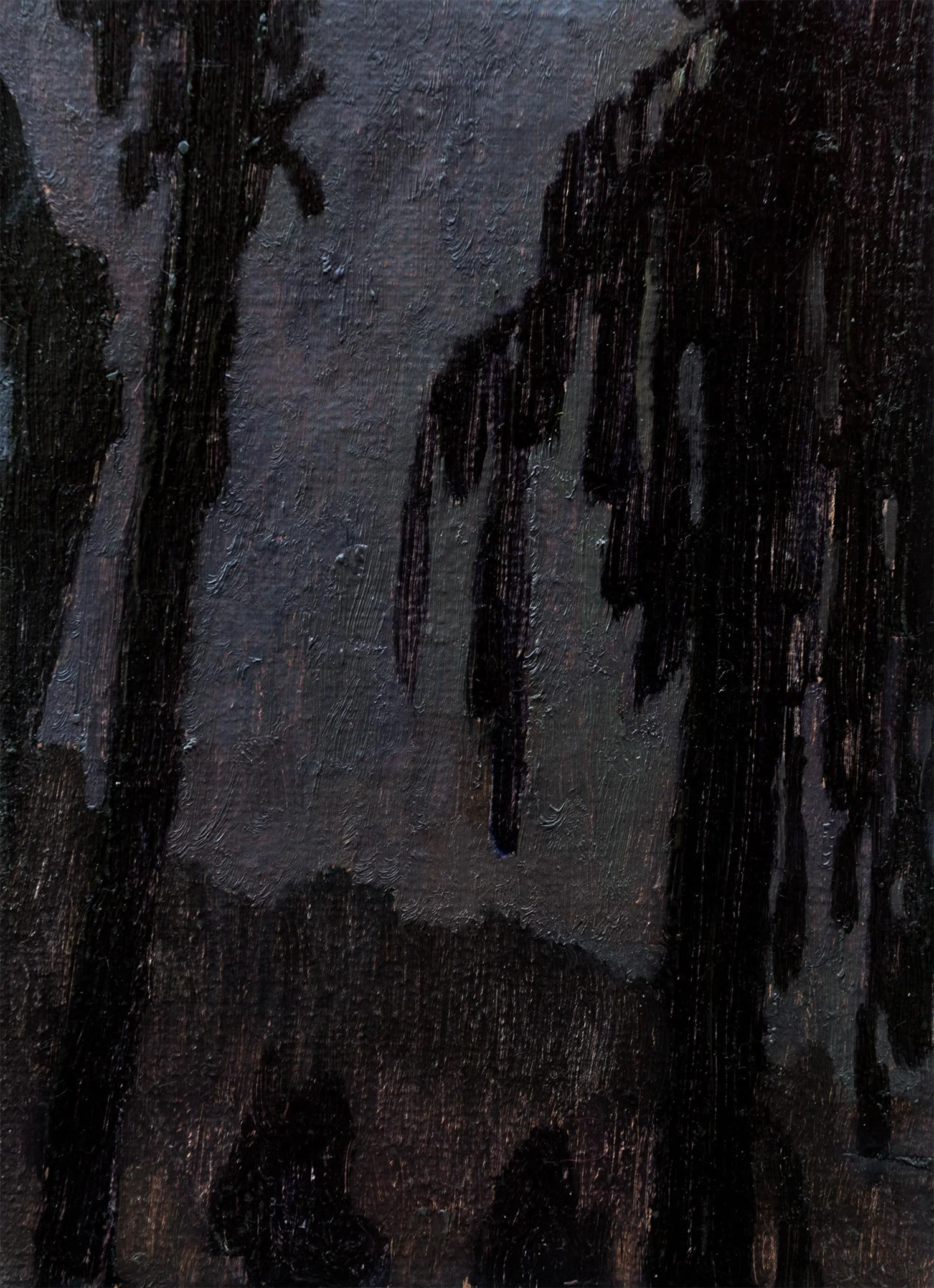 Rimu, seeping into the night
