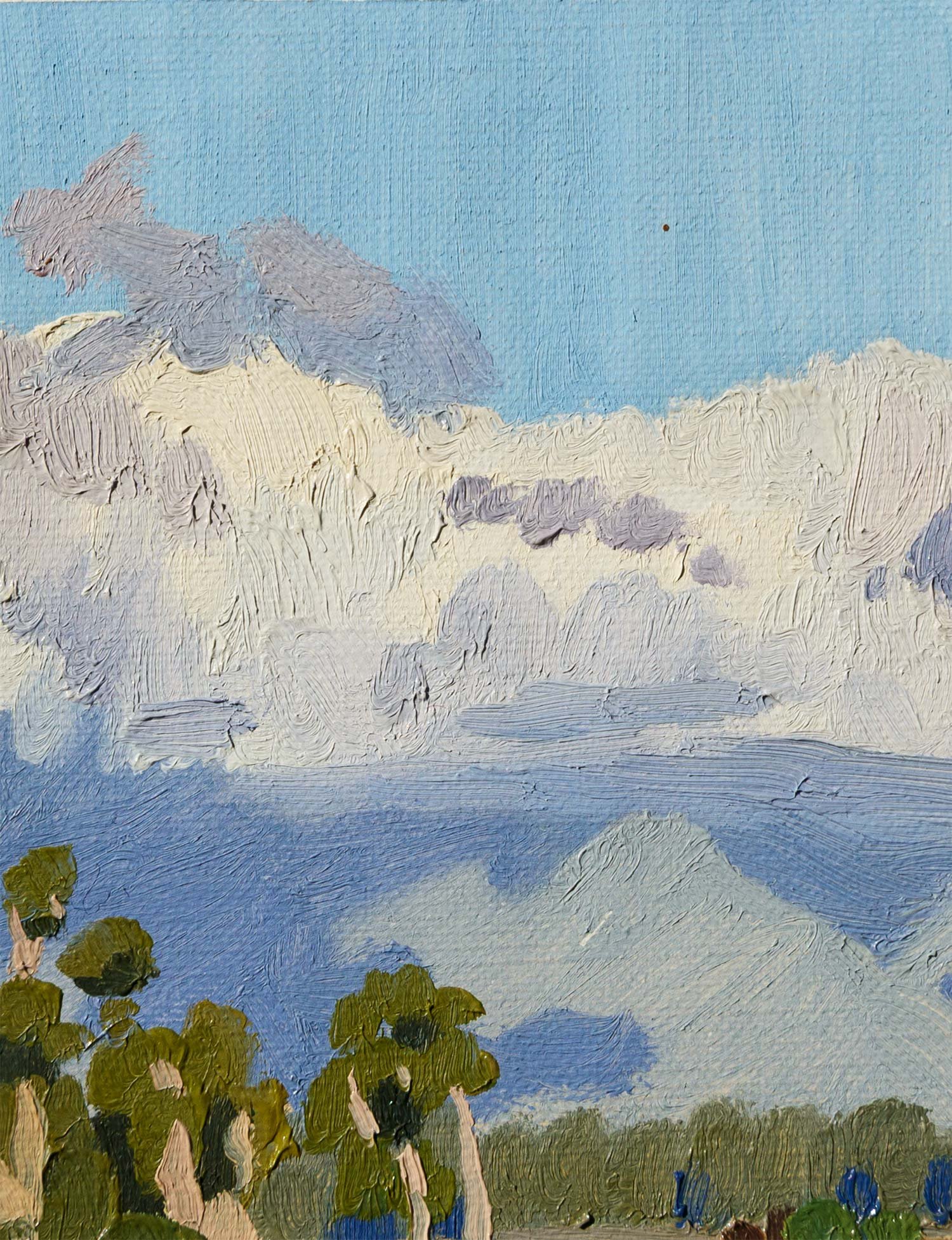 Swamp Forest Study