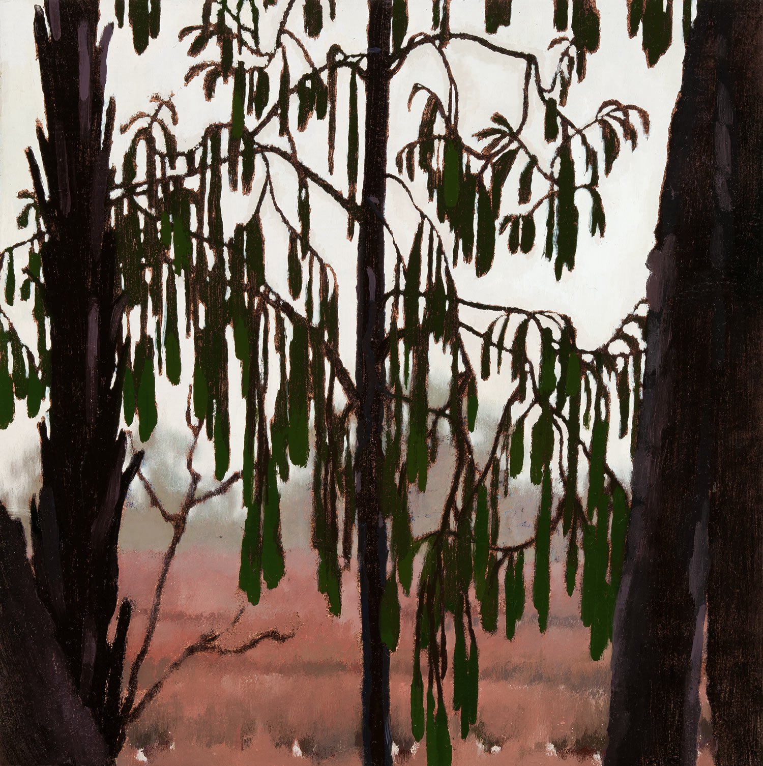 Rimu, melting in the rain (Series, 1 of 3)