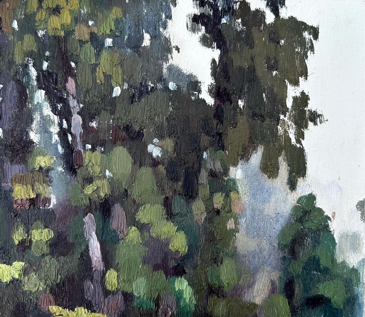 Rainforest Study (Kahurangi)