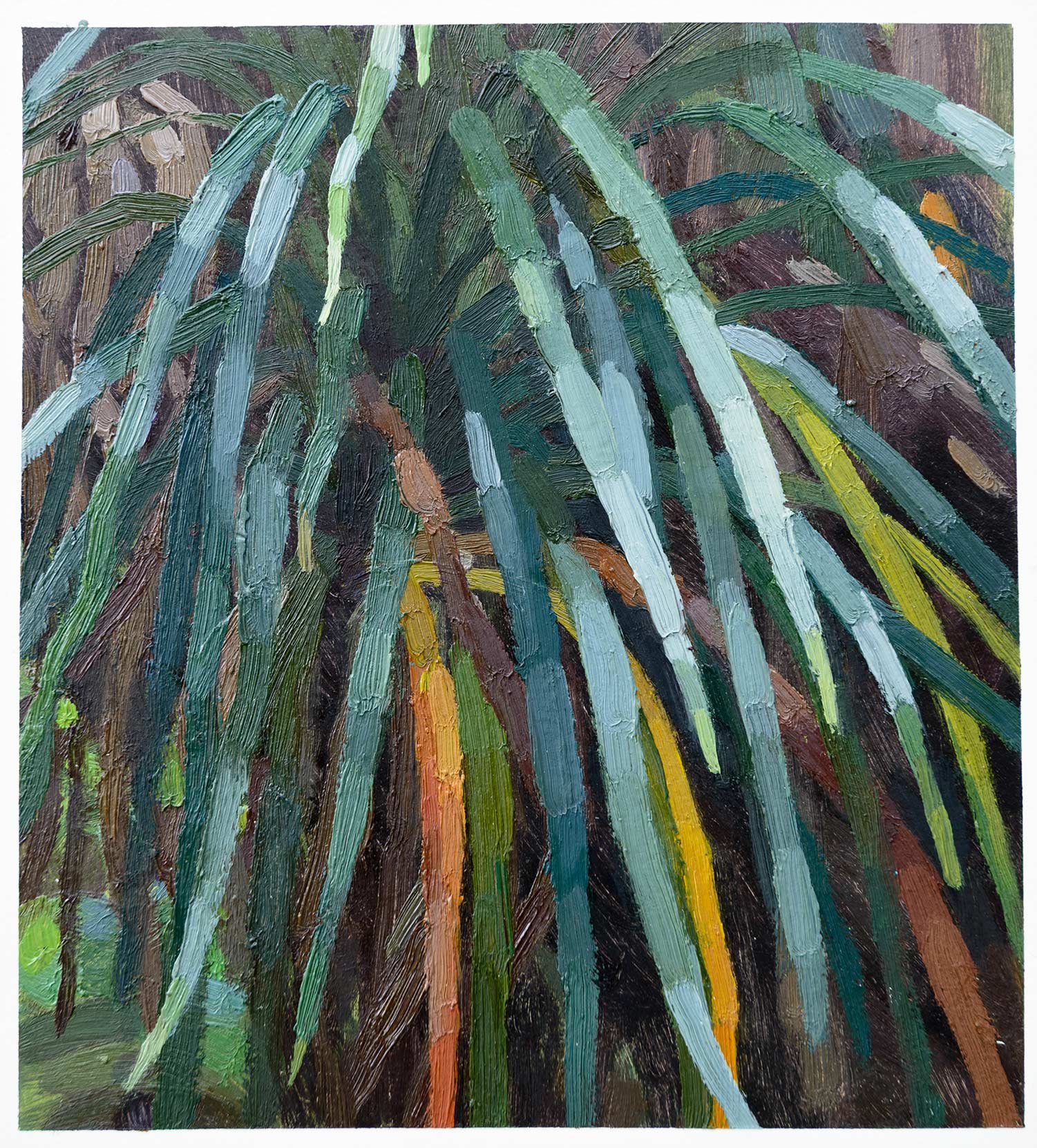 Kiekie, Heaphy Track