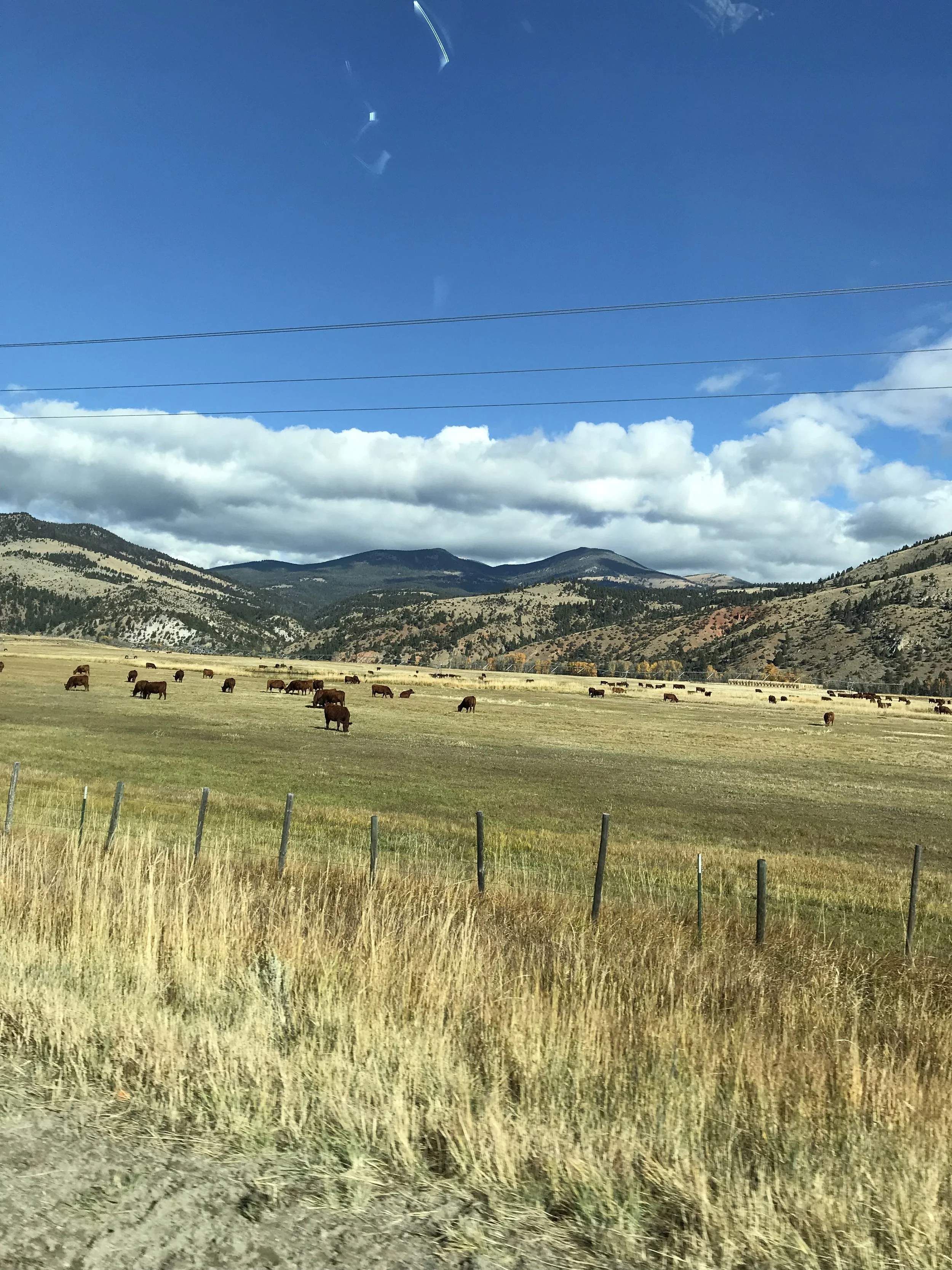 First Time to the West Fork