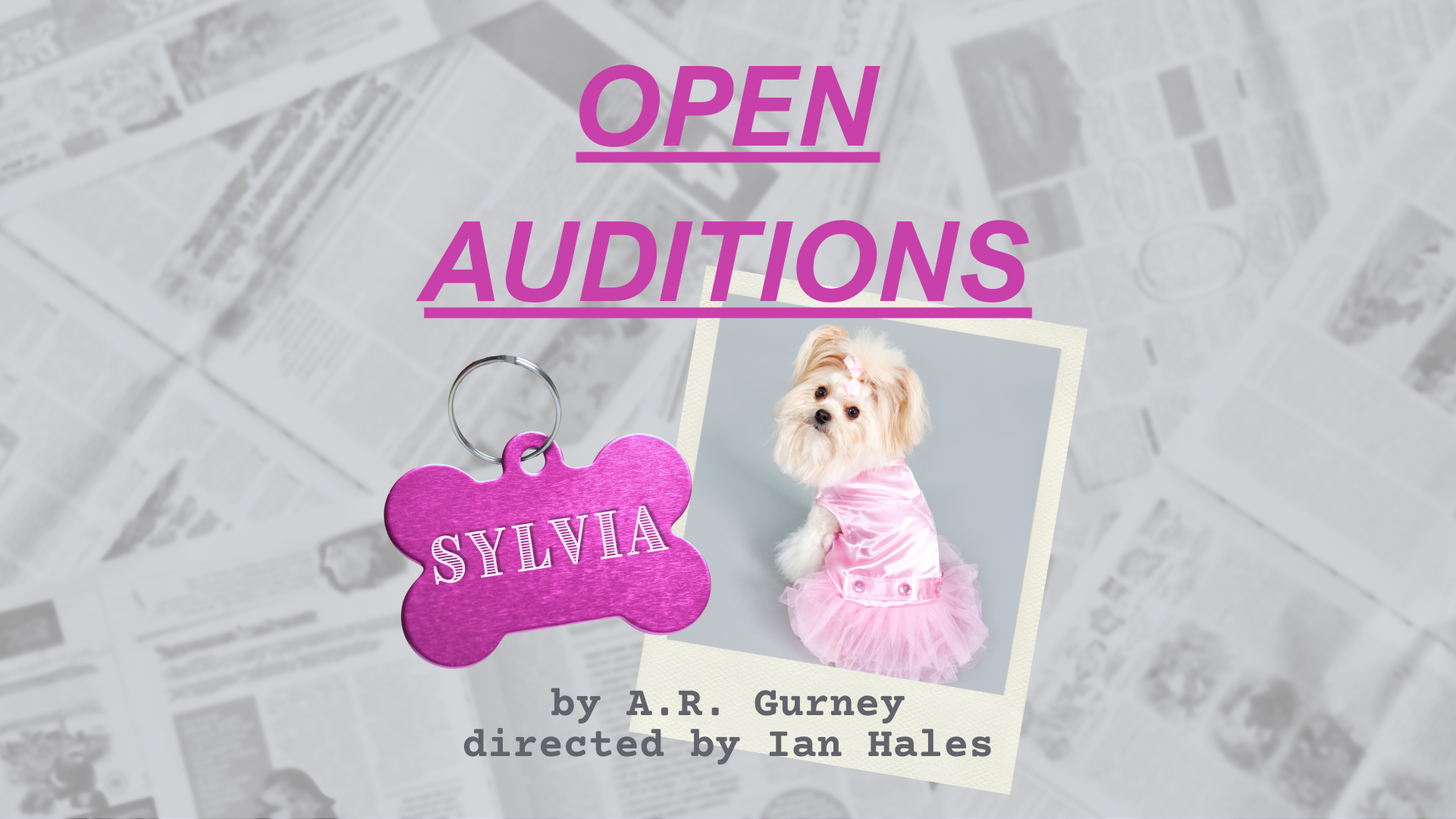 Audition FB Event Sylvia  (1920 x 1005 px).png
