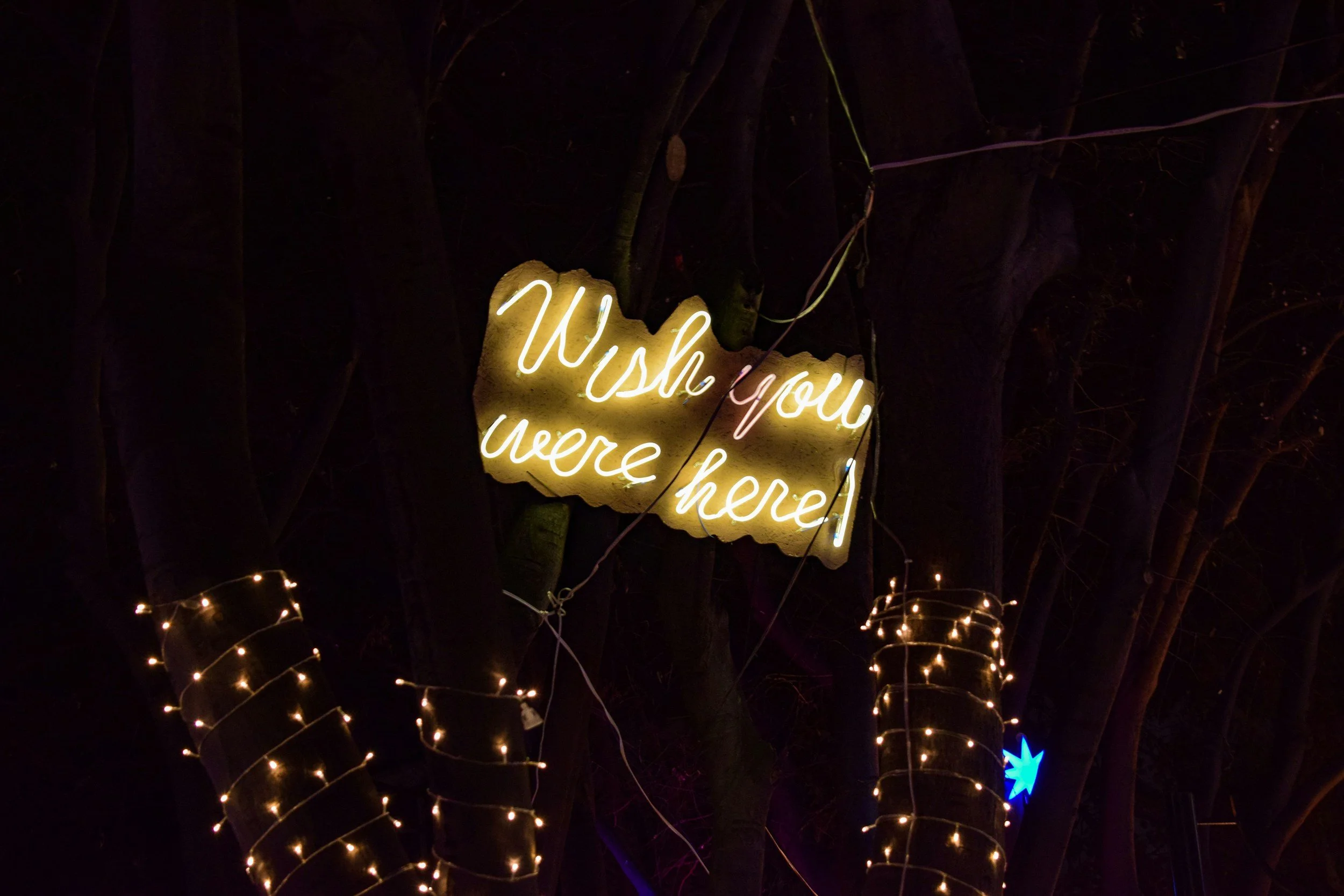 neon sign at night that says wish you were here in cursive