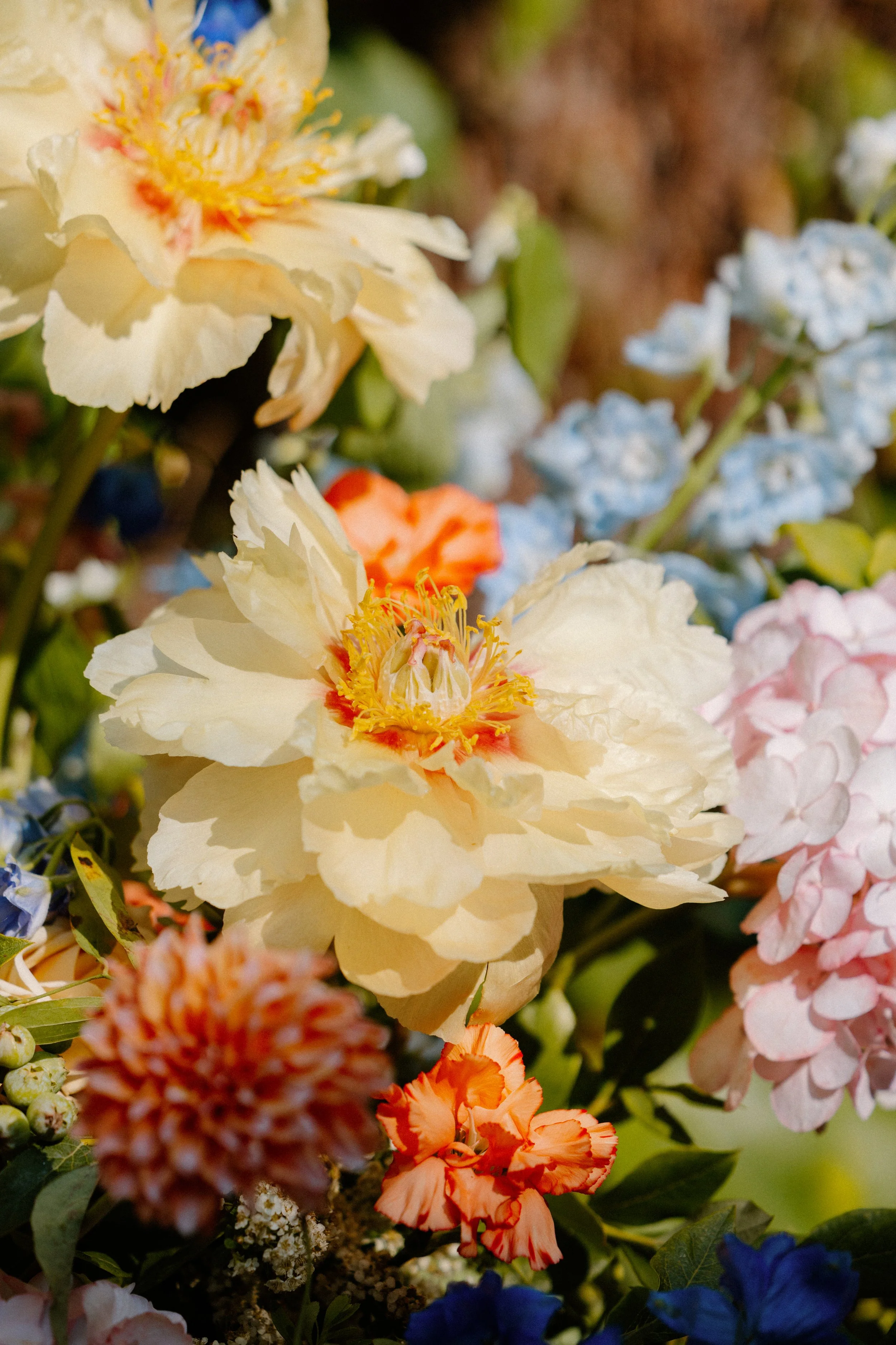 Ed & Aileen Photography_RD-272.jpg