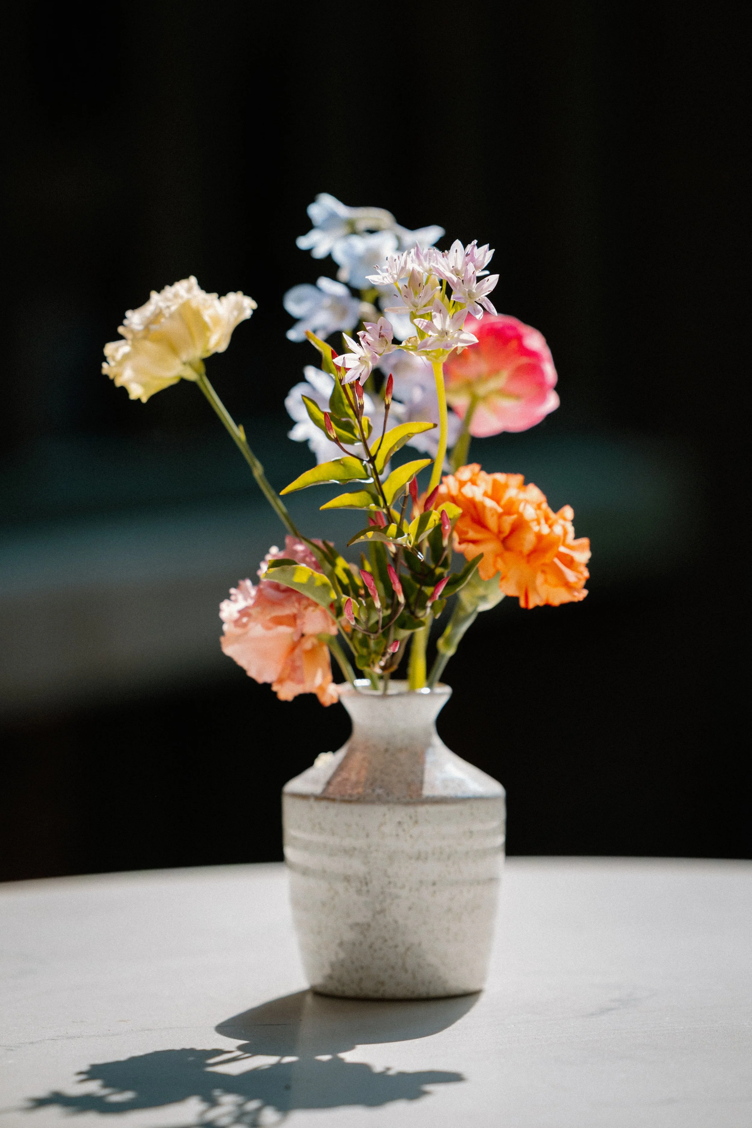 Ed & Aileen Photography_RD-263 (1).jpg