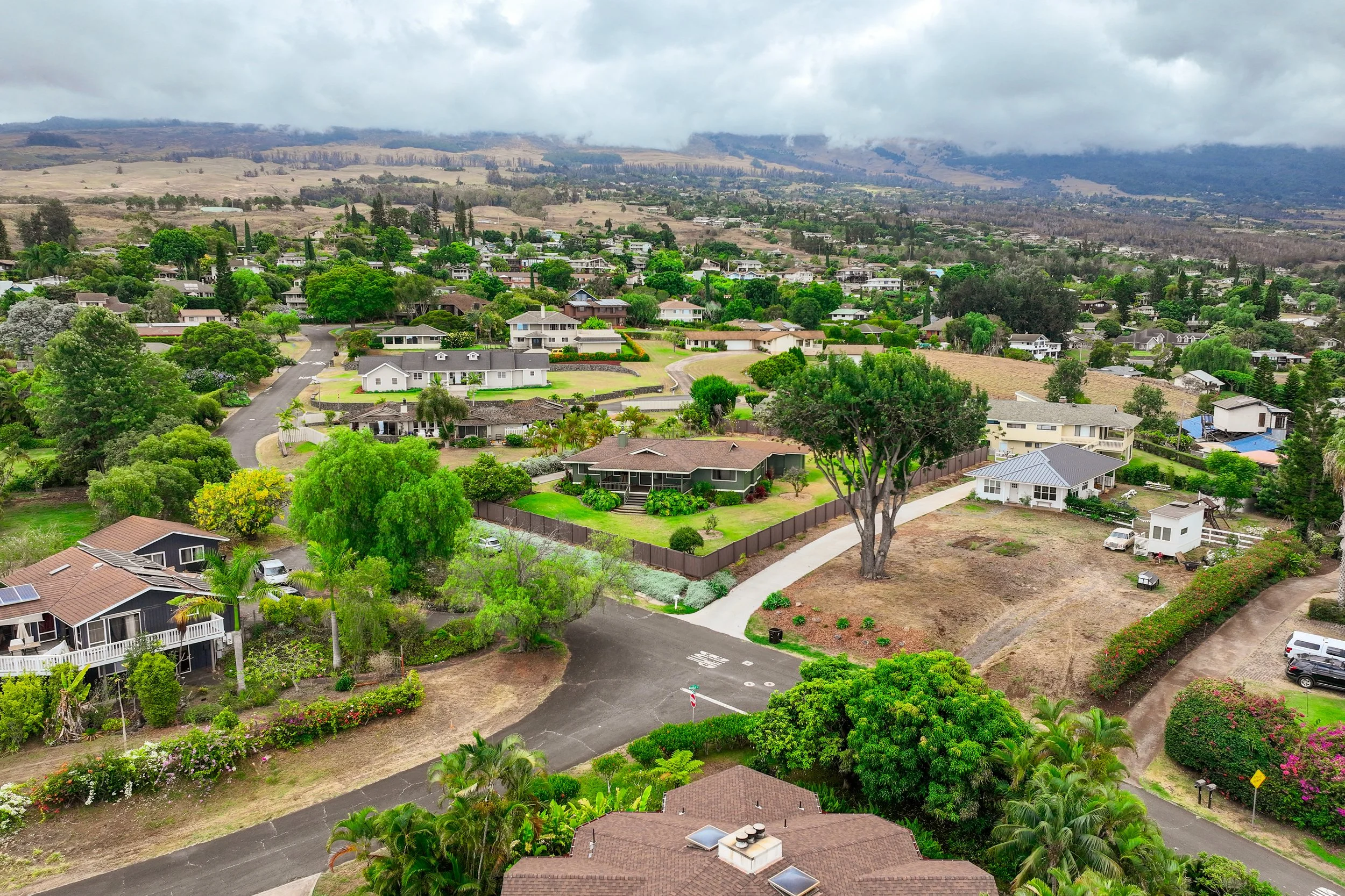 Aerial view of a residential neighborhood with houses, trees, and roads under a cloudy sky, with hills in the background.