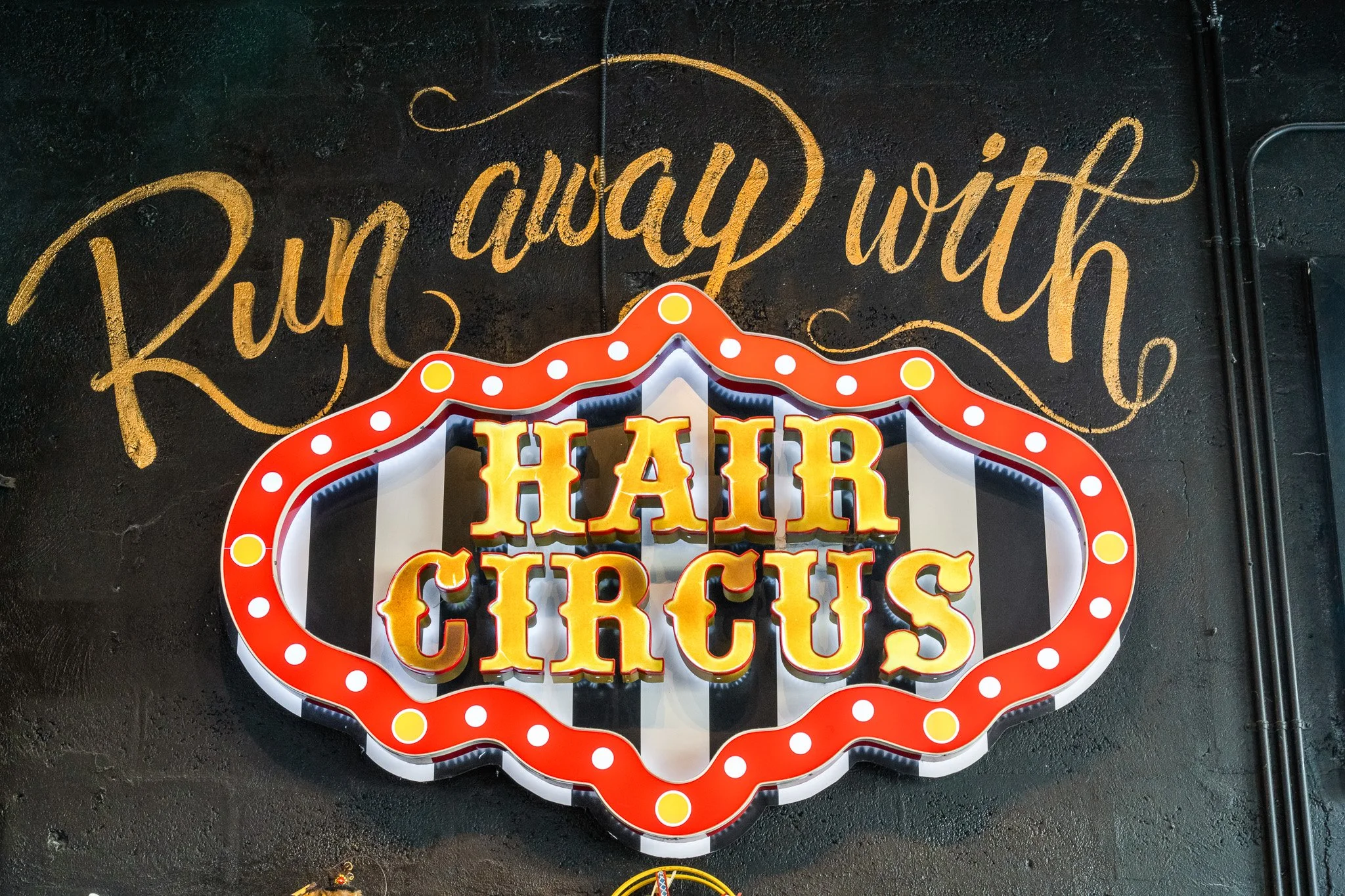 Hair Circus