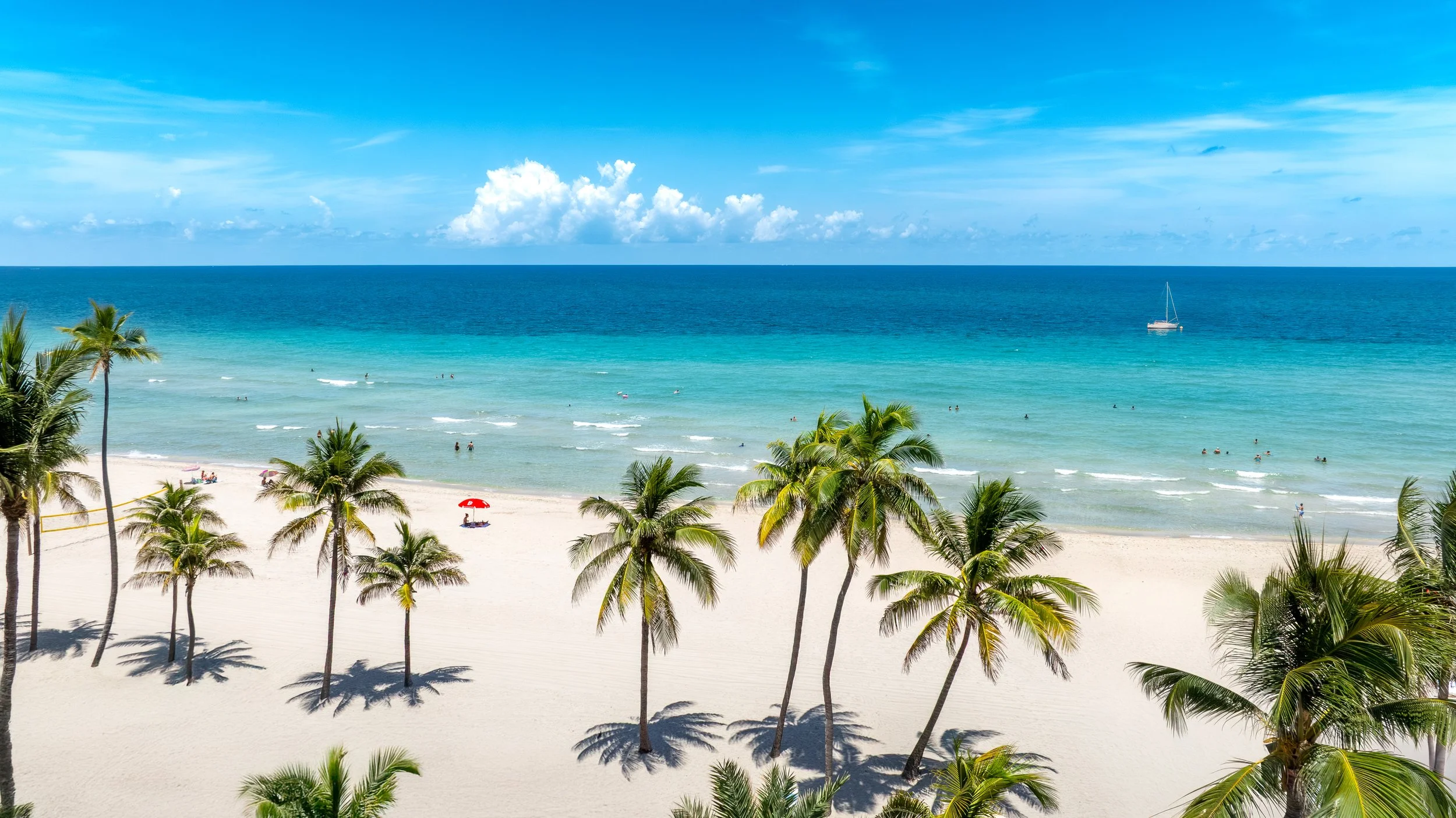 South Florida beach lifestyle photograph with palm trees and turquoise ocean