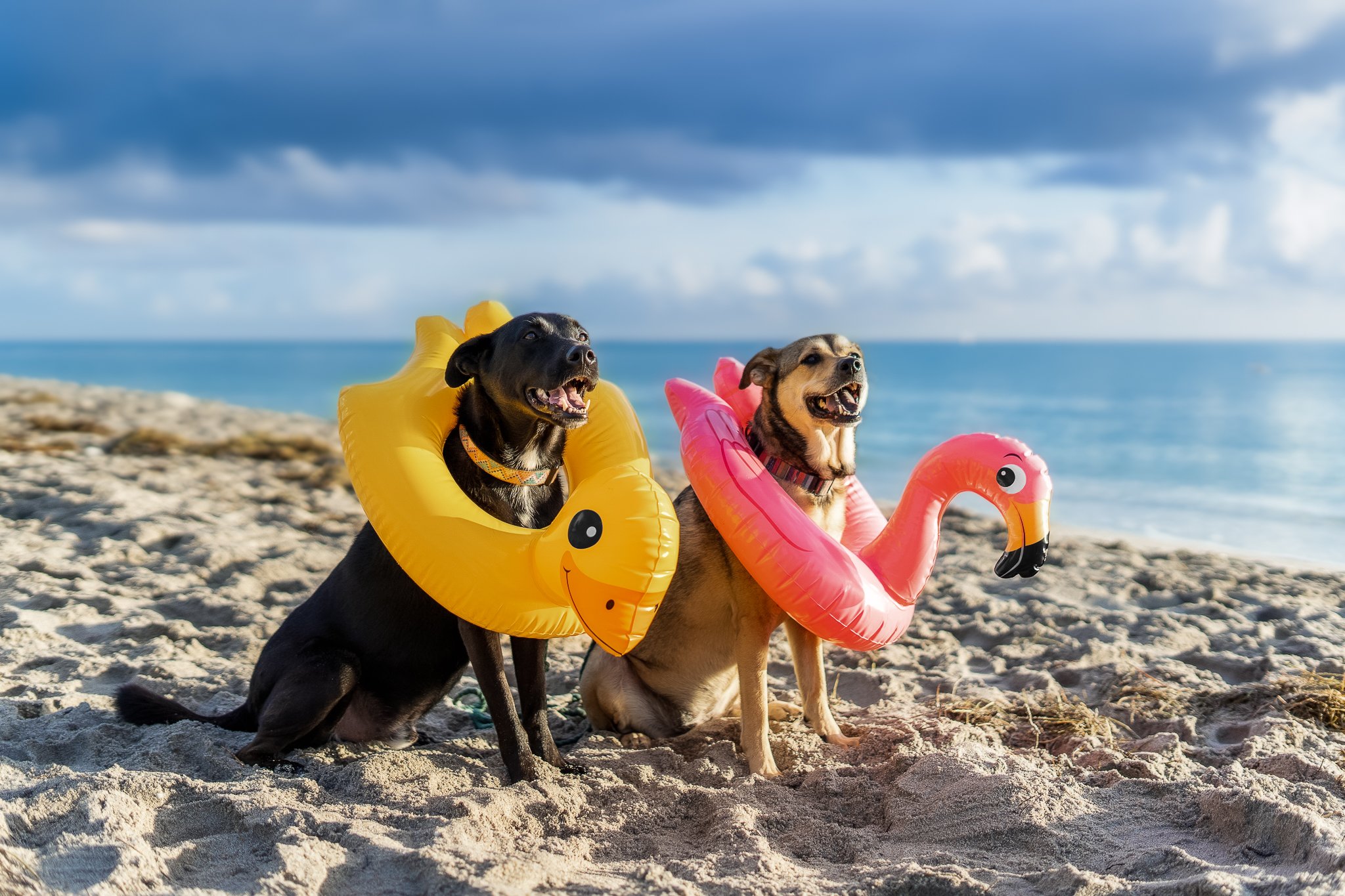 Lifestyle photograph of a child with flamingo float on a South Florida beach
