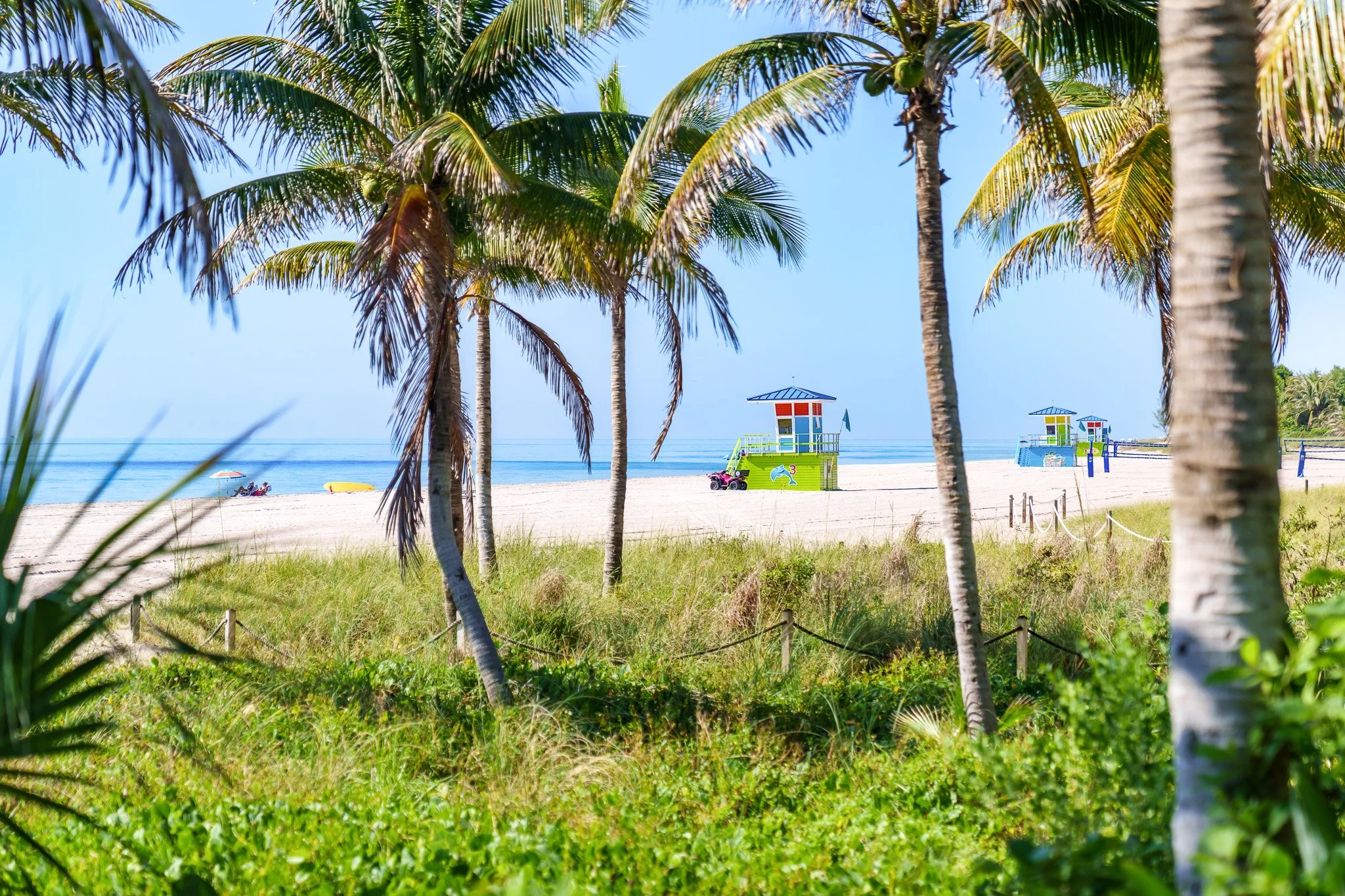 Palm trees and tropical greenery beside a turquoise South Florida ocean