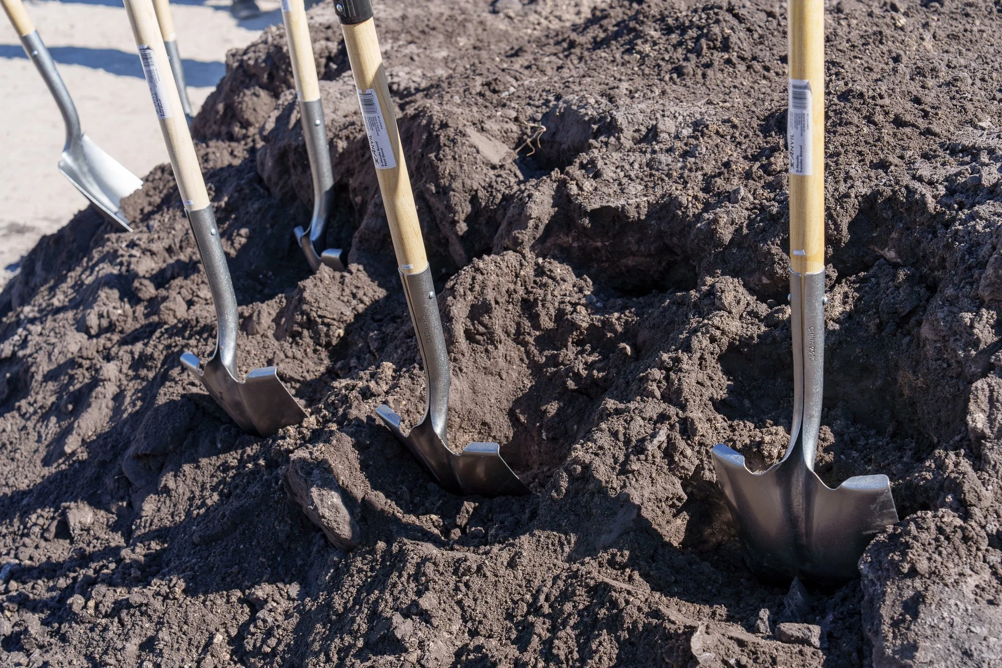 Several gardening shovels stuck into the ground in dry, brown dirt soil.