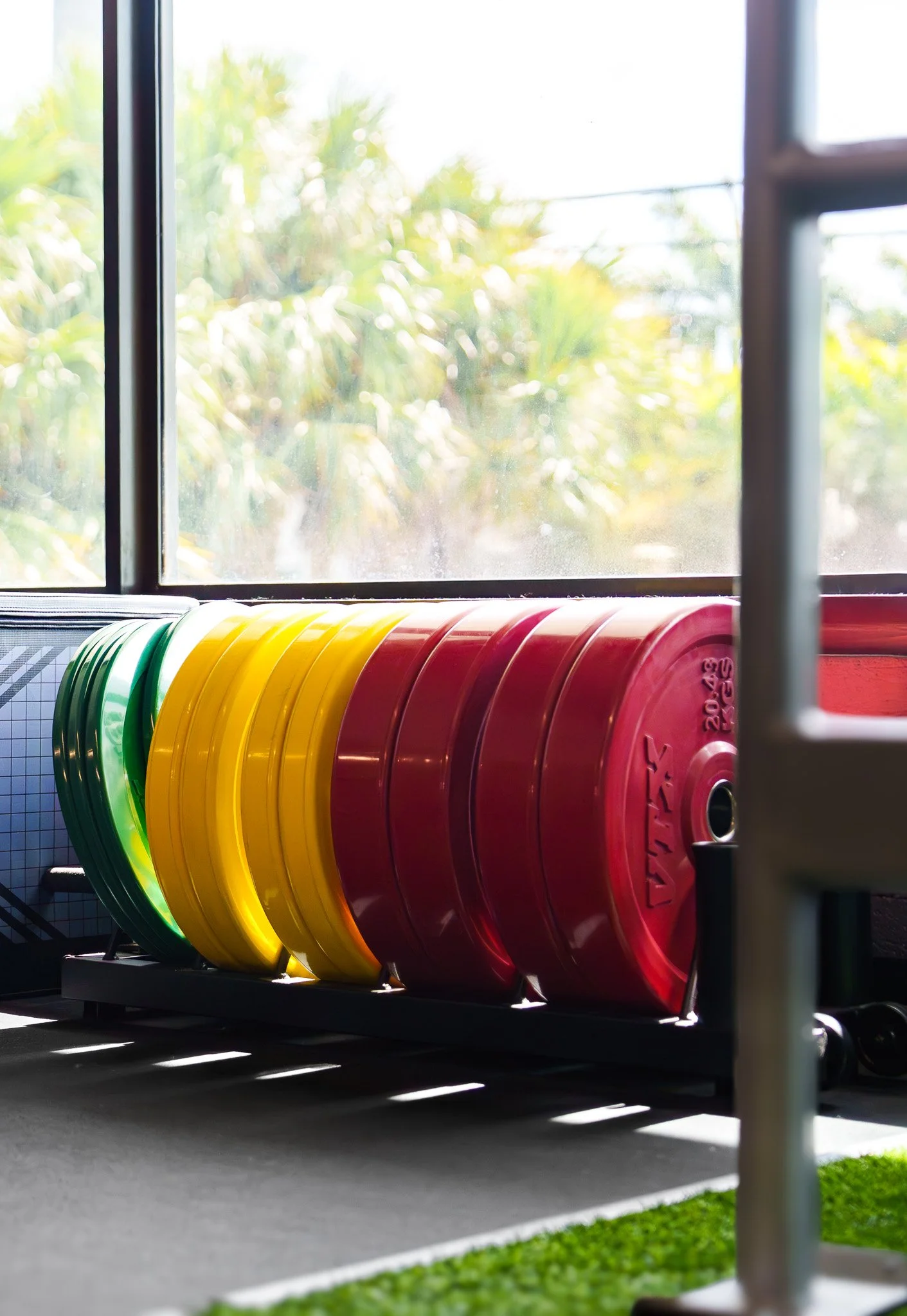 Colorful weight plates lined up on a rack near a window with sunlight, with green grass visible in the foreground.