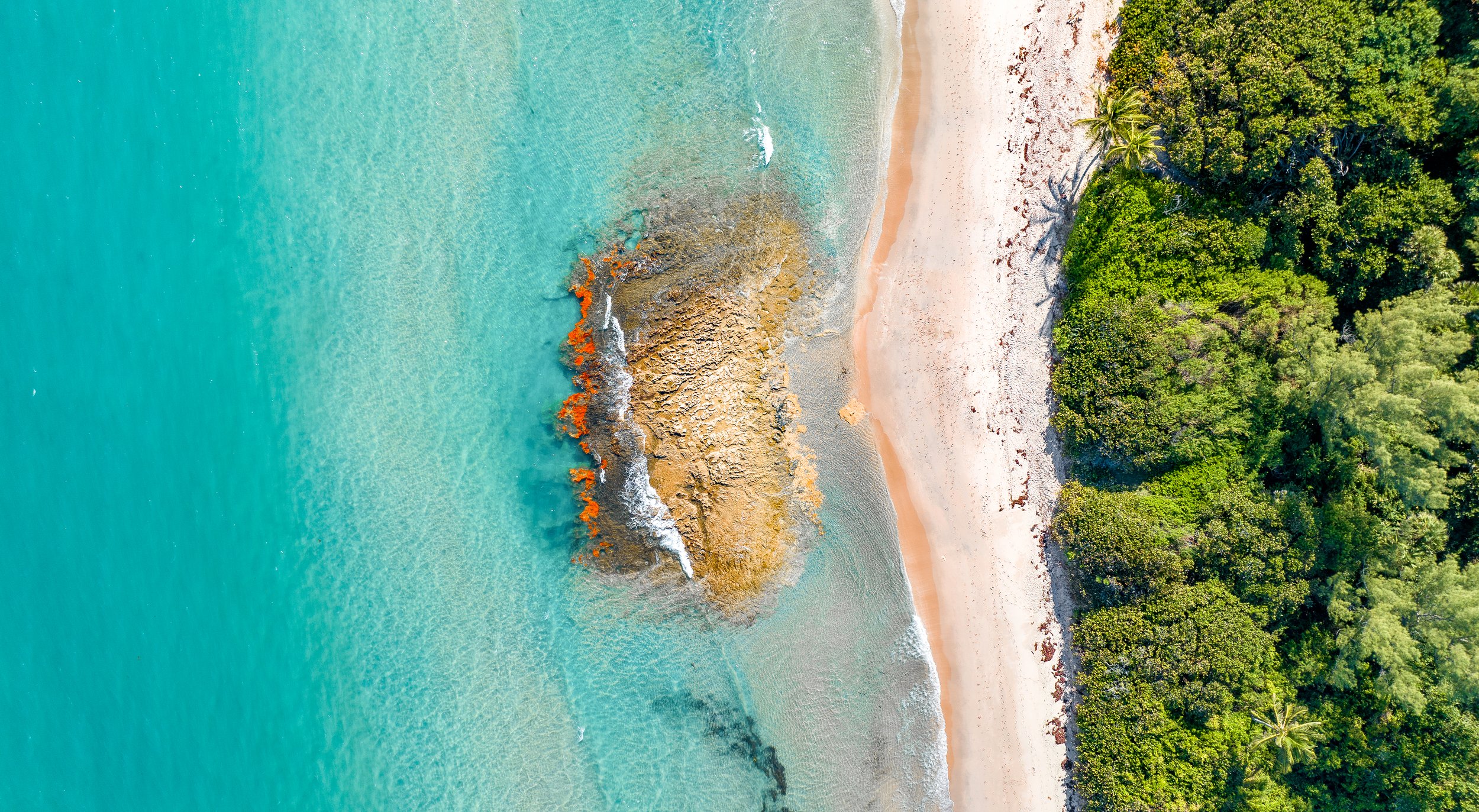 An aerial view of a tropical beach with turquoise water, a sandy shoreline, and lush green trees.