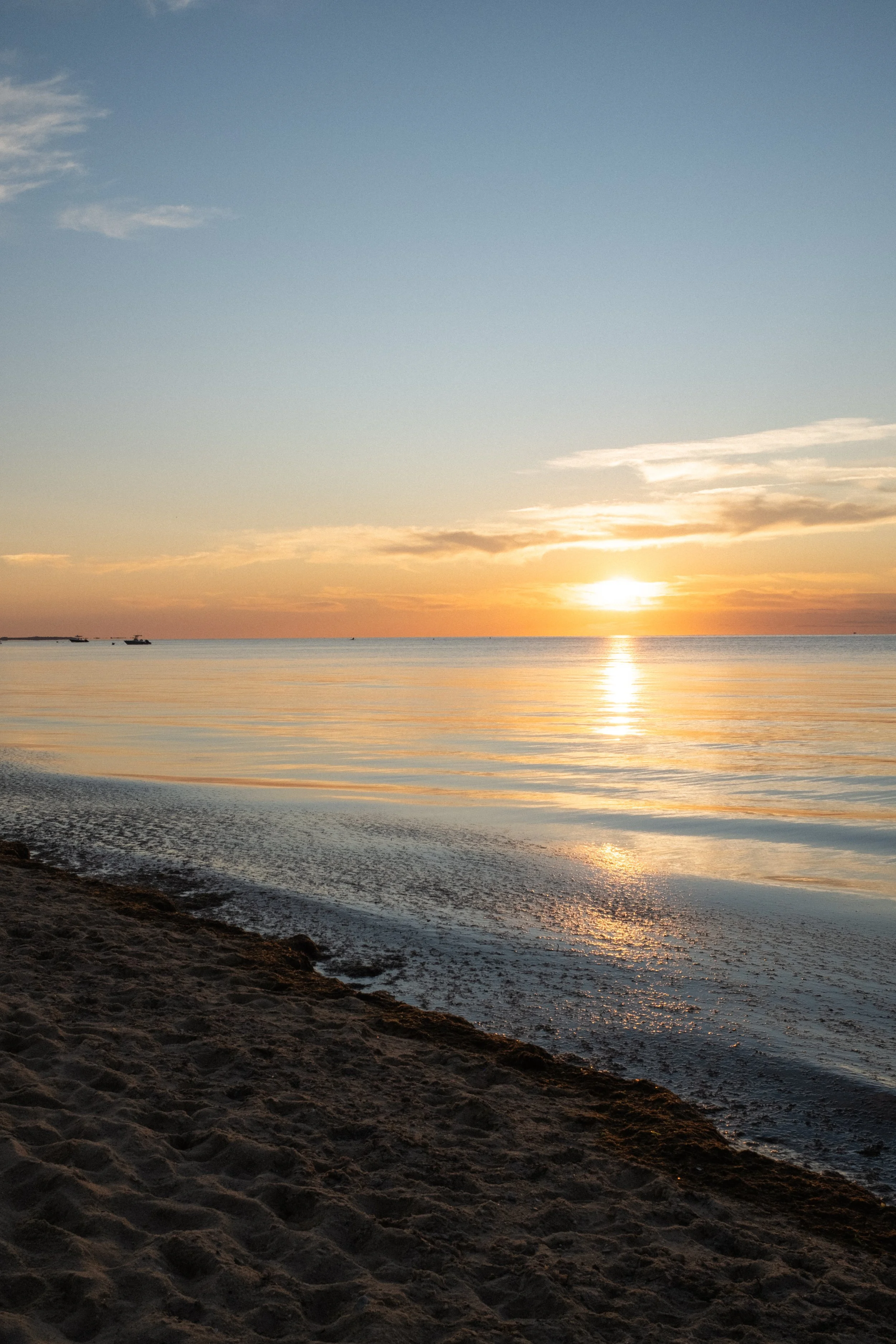 DSCF1548.jpg